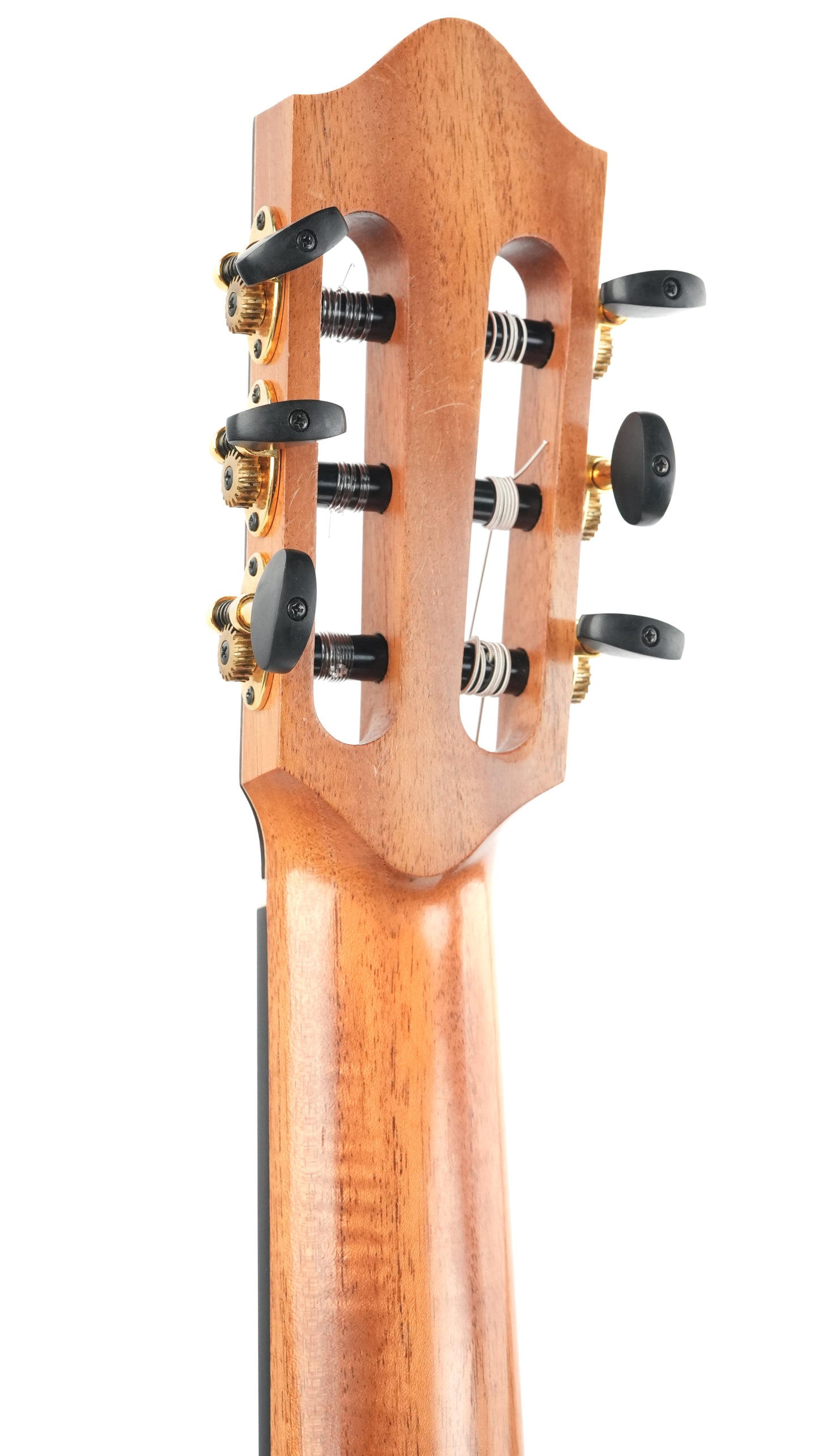 Sergei de Jonge Classical Cedar Wenge 2025