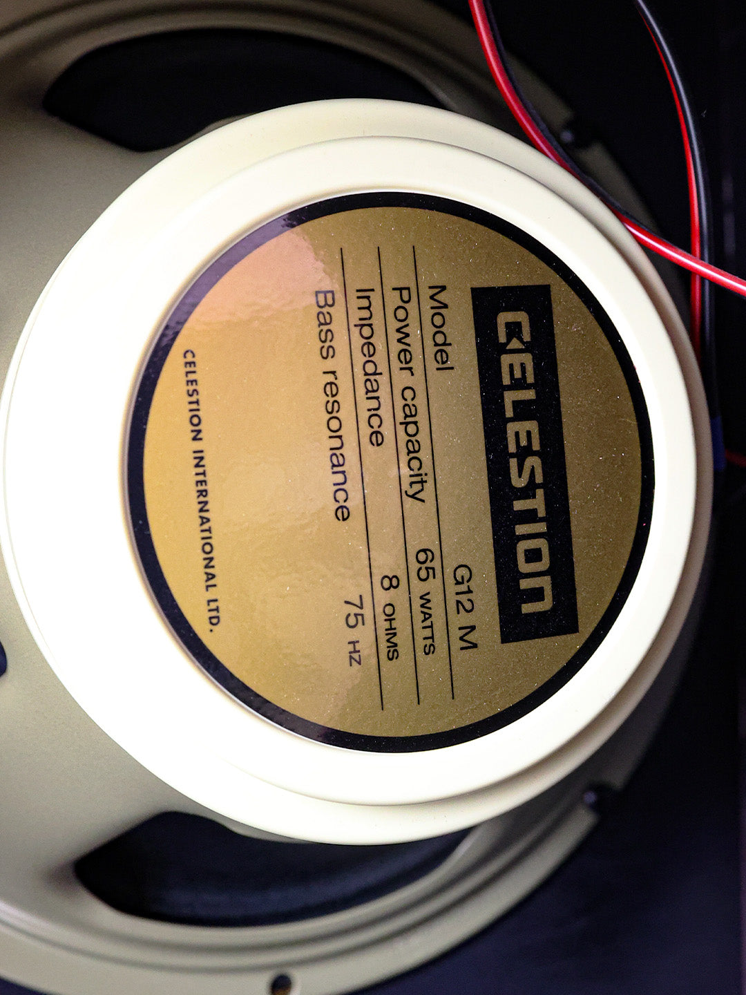 Amplified Nation Wonderland Overdrive V2 - USA 2021