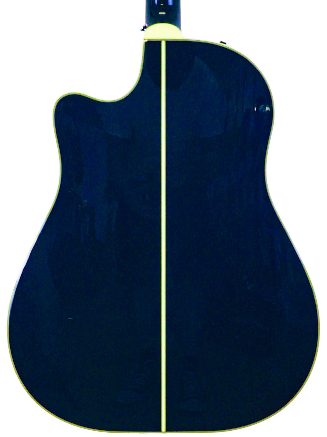 Takamine LTD2021 Limited Edition Series "Blue Rose" - Japan 2021