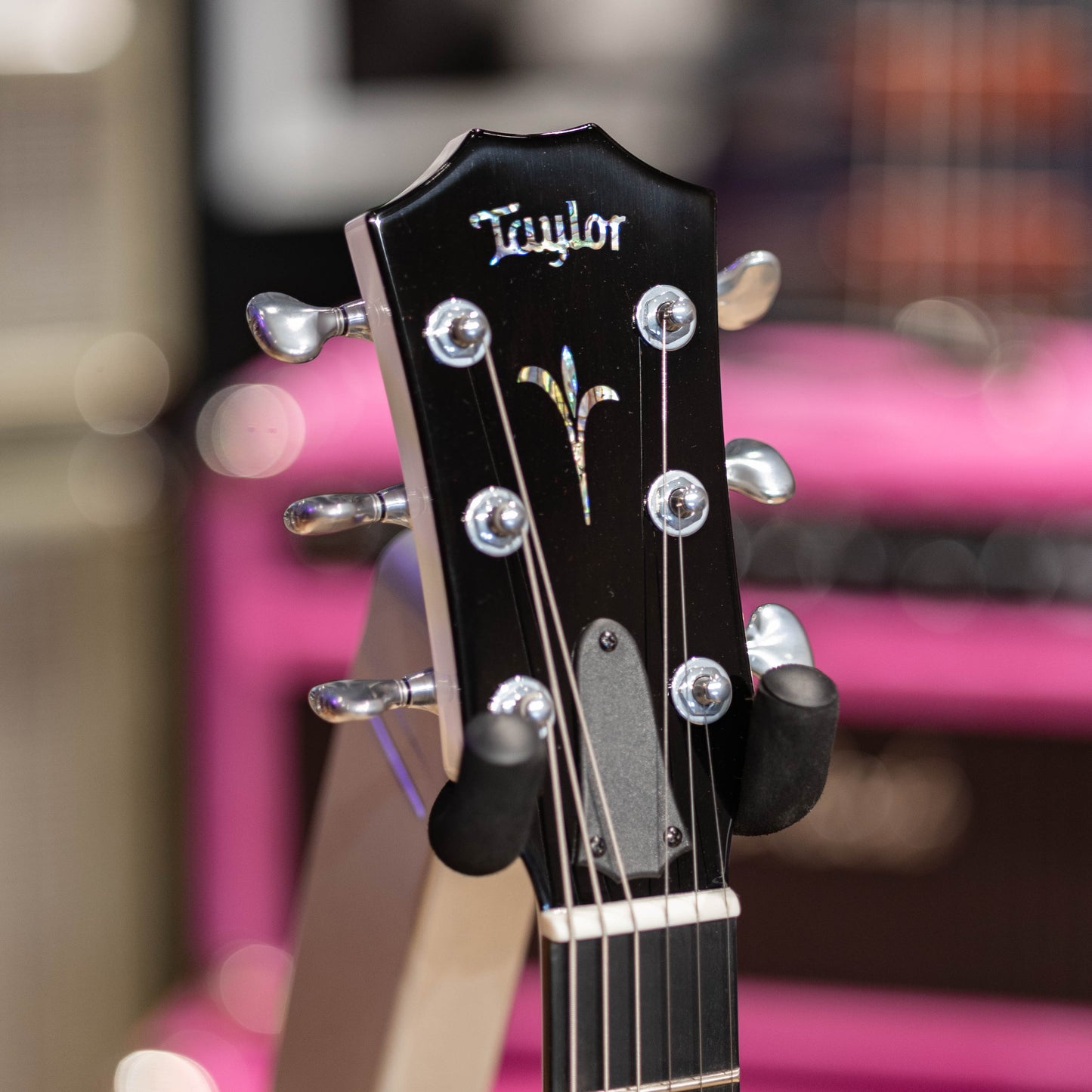 Taylor Custom Catch #03 - CT5z Quilted Big Leaf Maple/Shamel Ash 2026