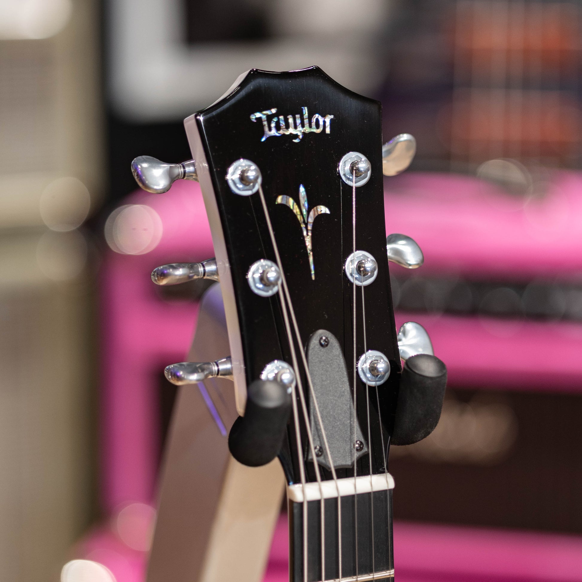 Taylor Custom Catch #03 - CT5z Quilted Big Leaf Maple/Shamel Ash 2026