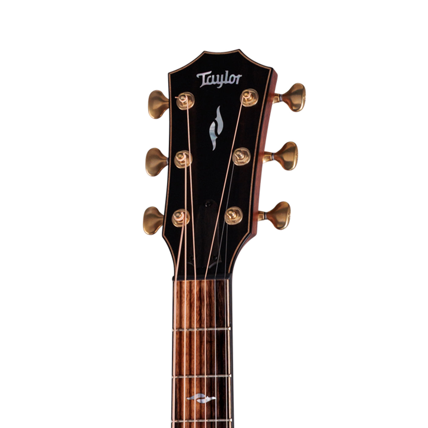 Taylor Builder's Edition 814ce Next Generation Indian RW/Adirondack Blacktop w/case