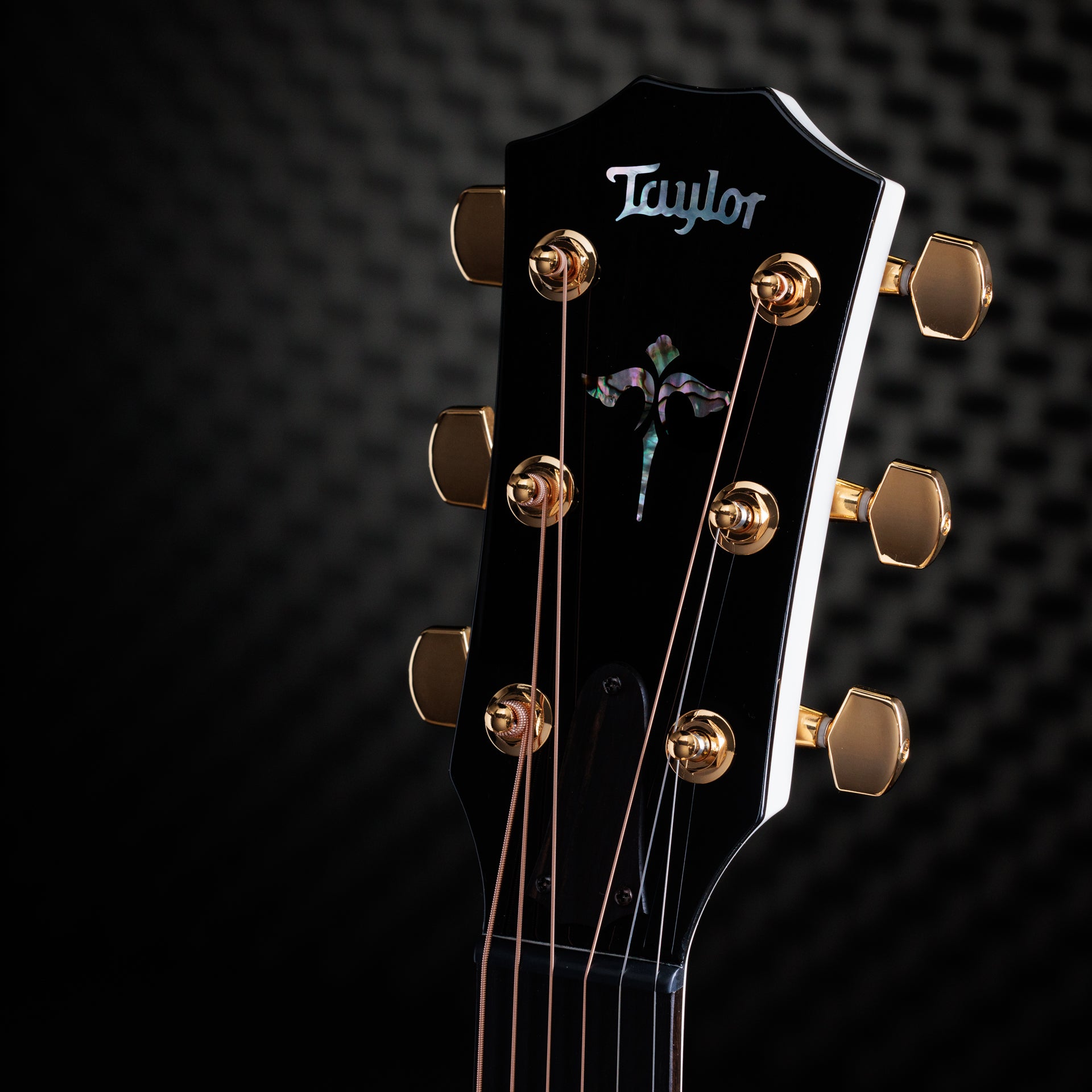 Taylor 614ce 50th Anniversary Limited Edition Acoustic Electric Guitar, Trans White