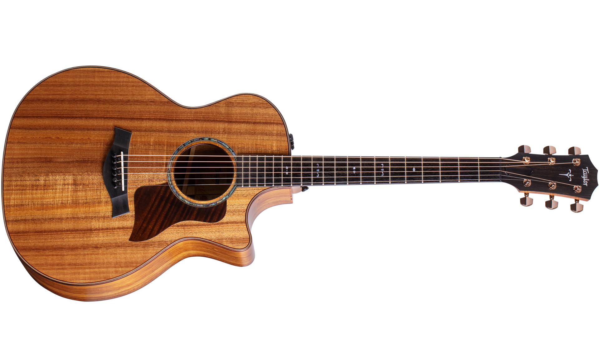 Taylor 724ce Acoustic Guitar