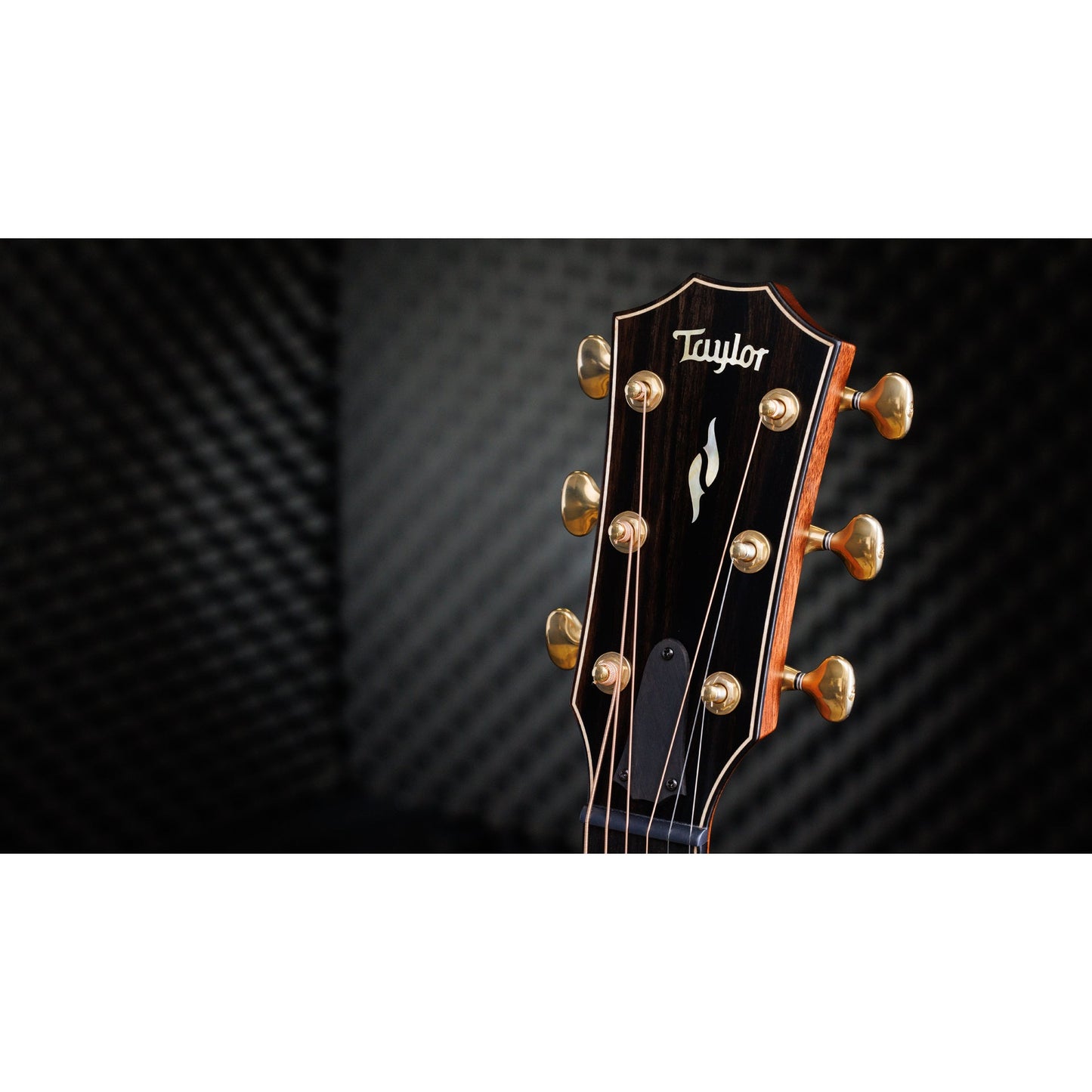 Taylor 50th Builder’s Edition 814ce LTD Grand Auditorium Acoustic Electric Guitar