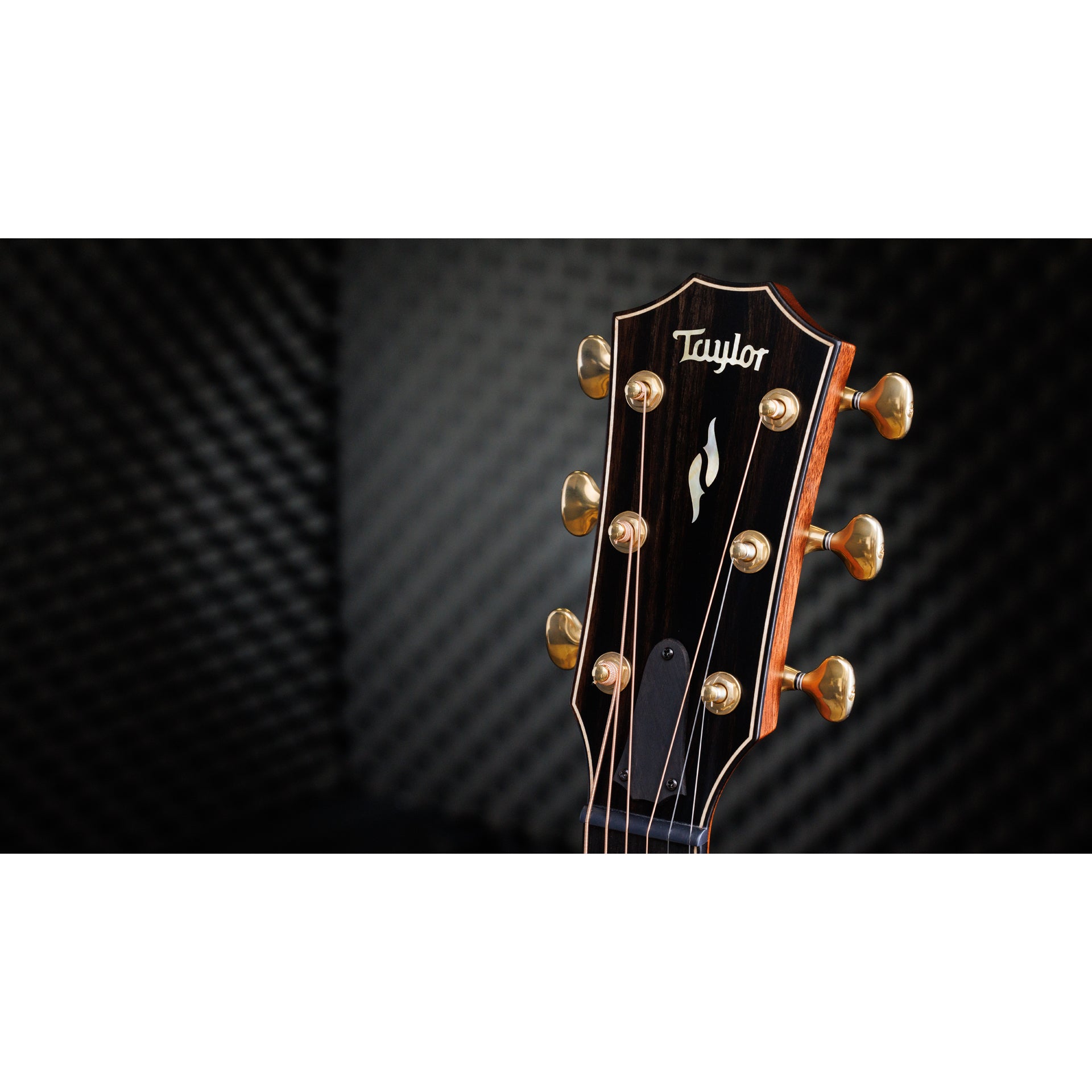Taylor 50th Builder’s Edition 814ce LTD Grand Auditorium Acoustic Electric Guitar