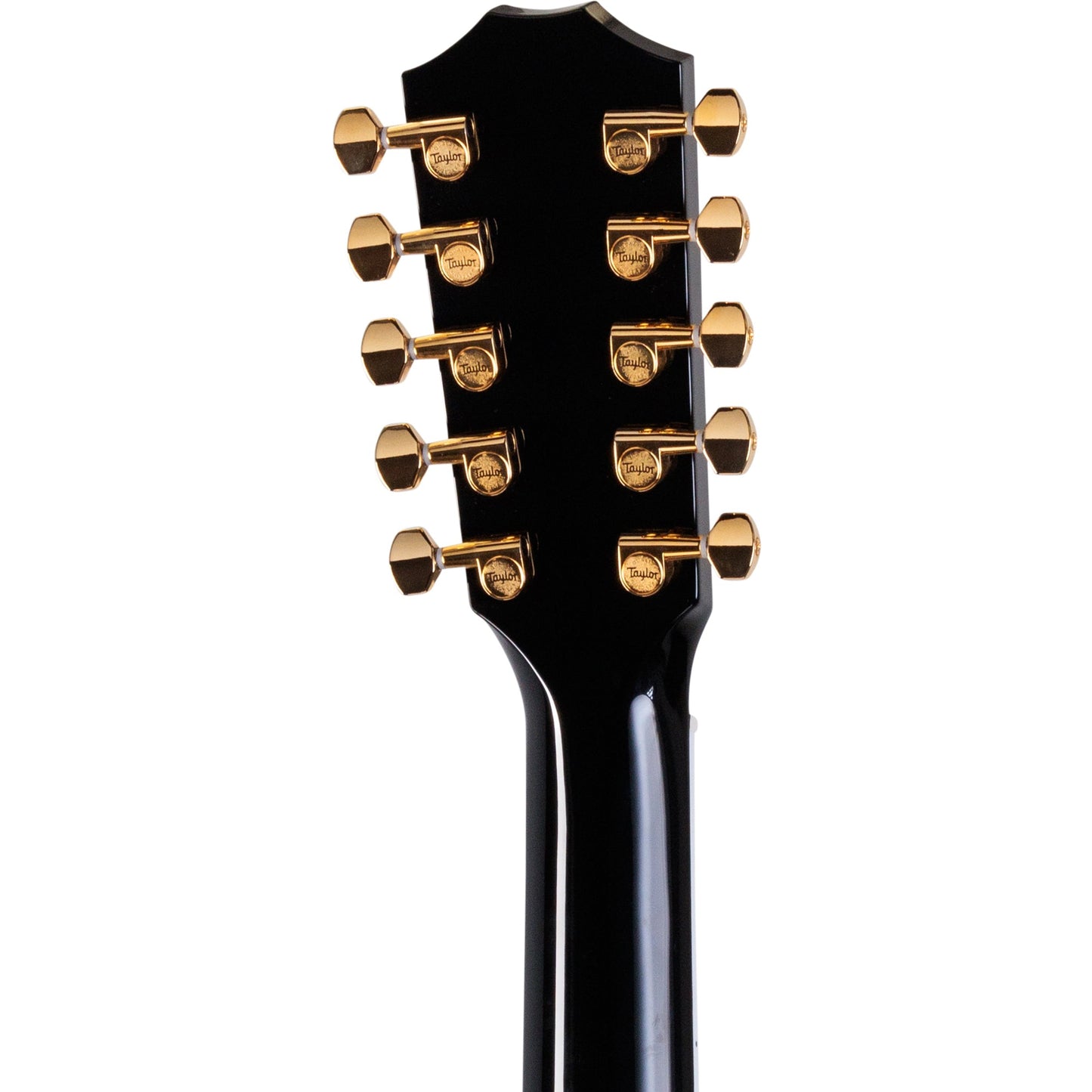 Taylor Somos 657ce Acoustic Electric 10-String Bajo Quinto - Black