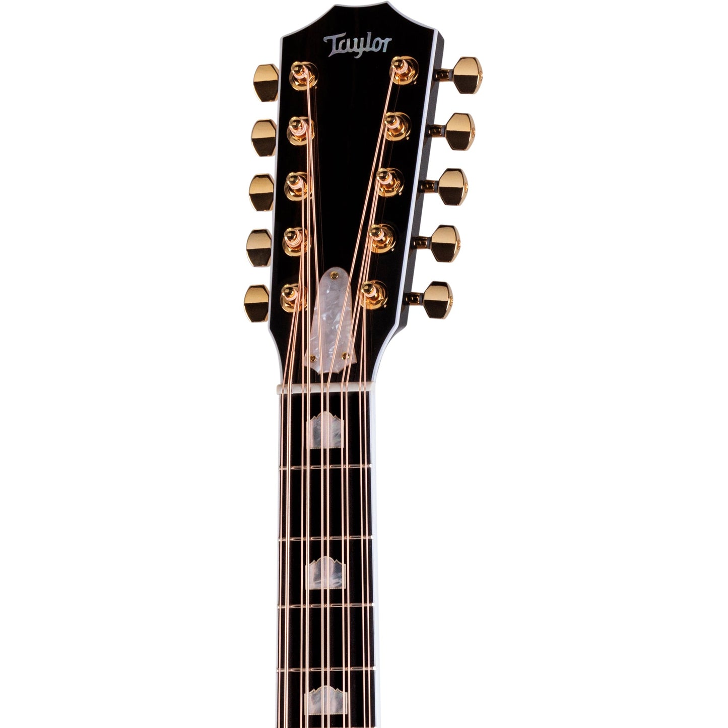 Taylor Somos 657ce Acoustic Electric 10-String Bajo Quinto - Black