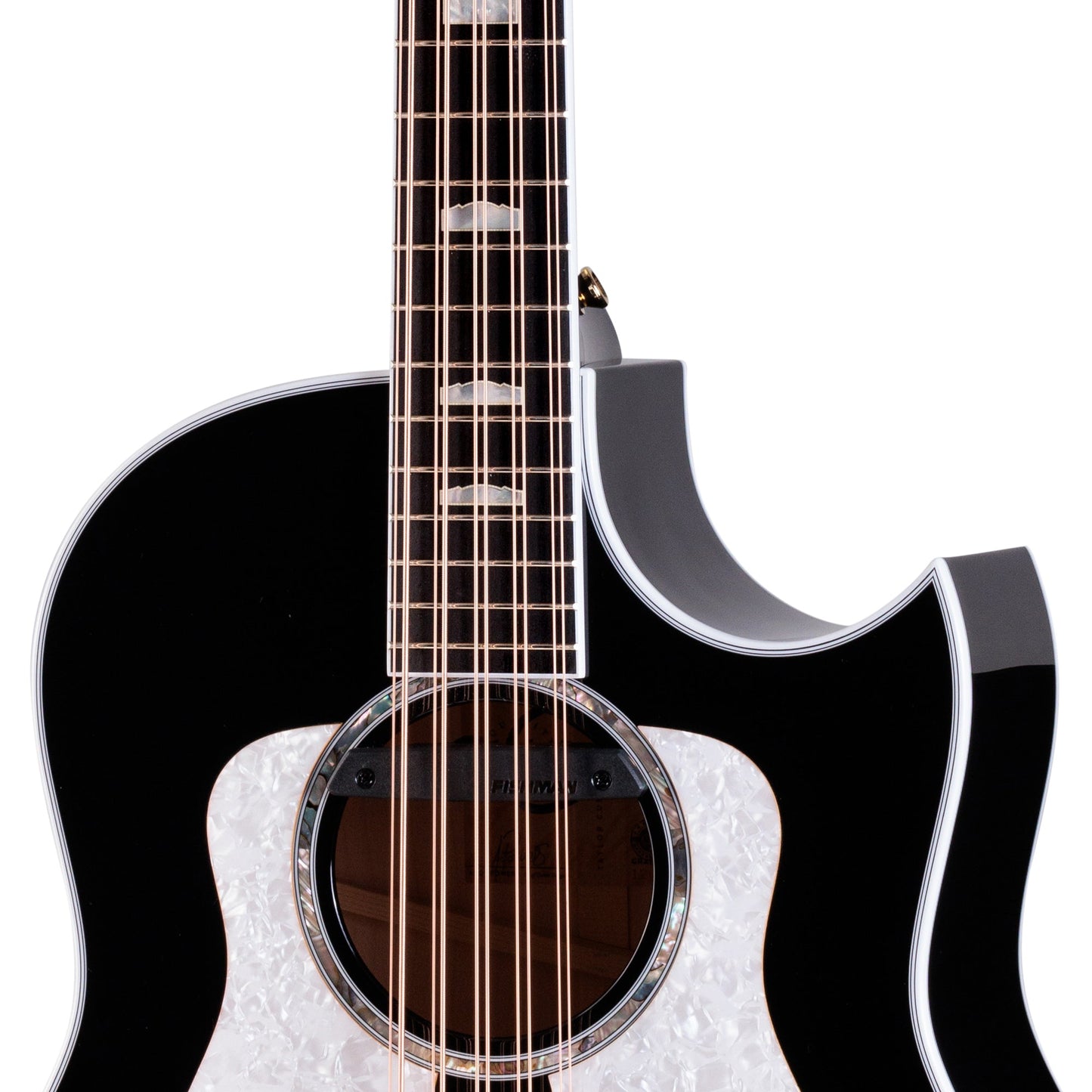 Taylor Somos 657ce Acoustic Electric 10-String Bajo Quinto - Black