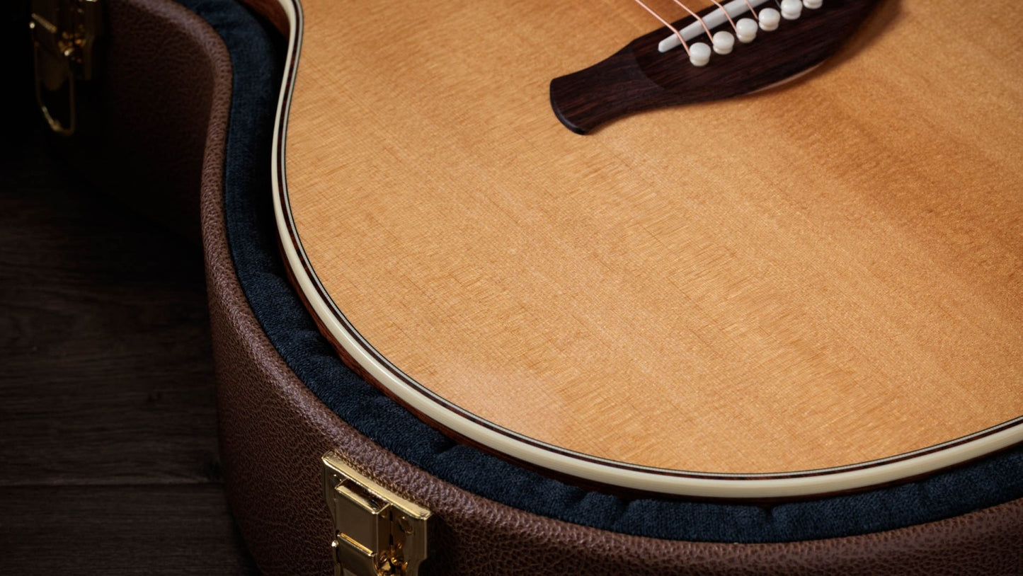 Taylor Gold Label 814e Acoustic-Electric Guitar