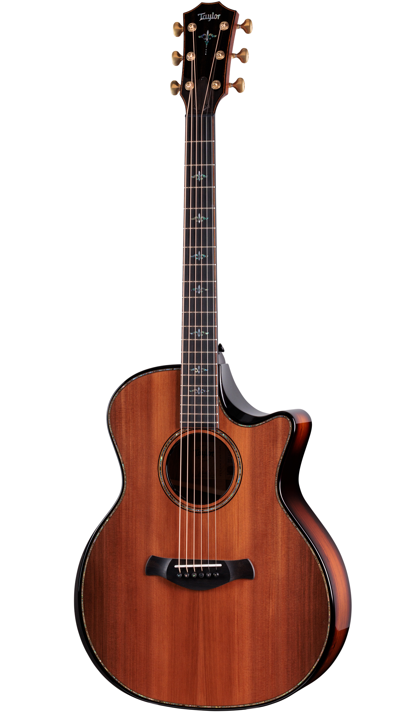 Taylor Builder's Edition 914ce Honduran RW / Redwood Next Generation w/case