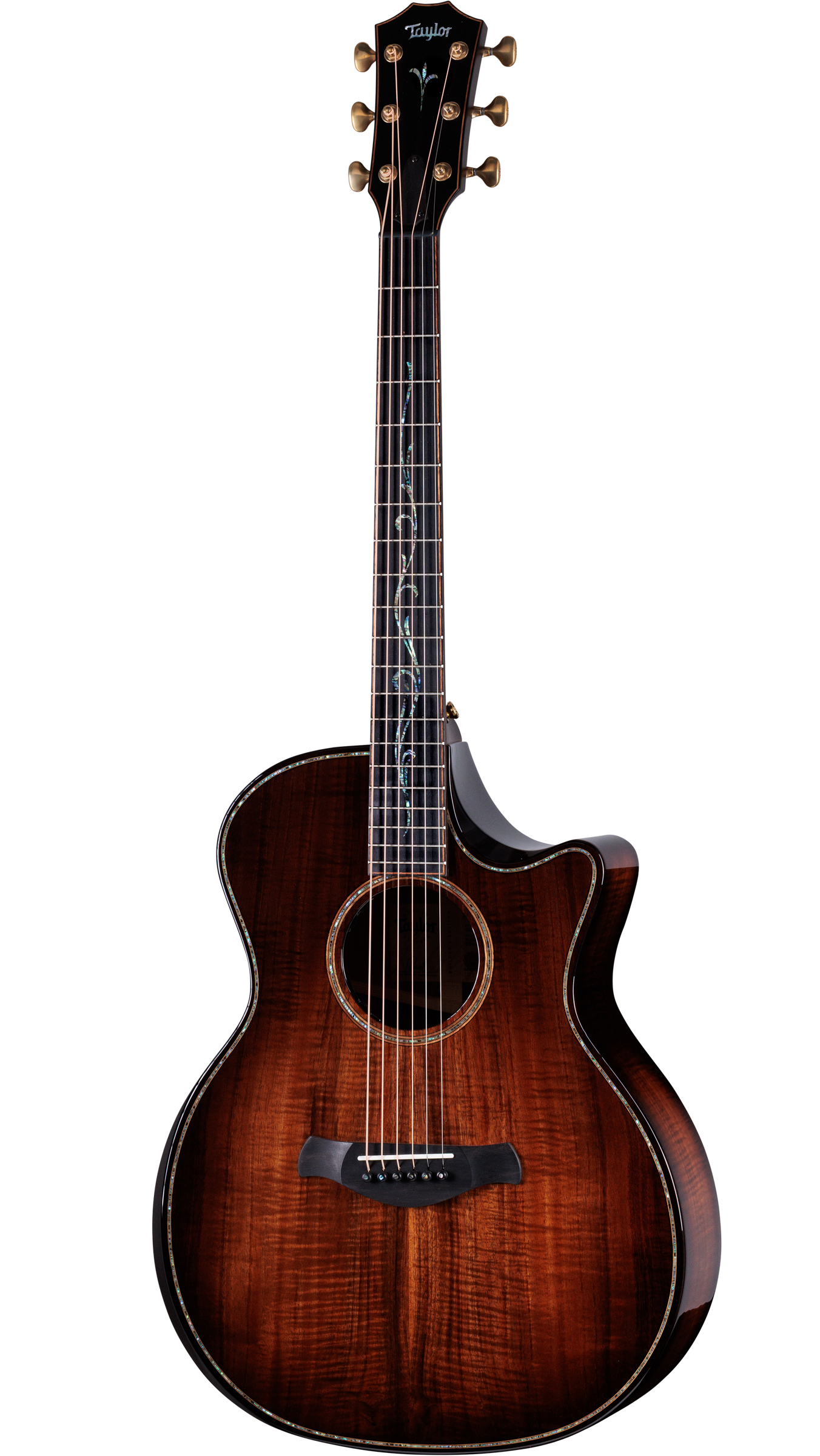 Taylor Builder's Edition K24ce Next Generation w/case
