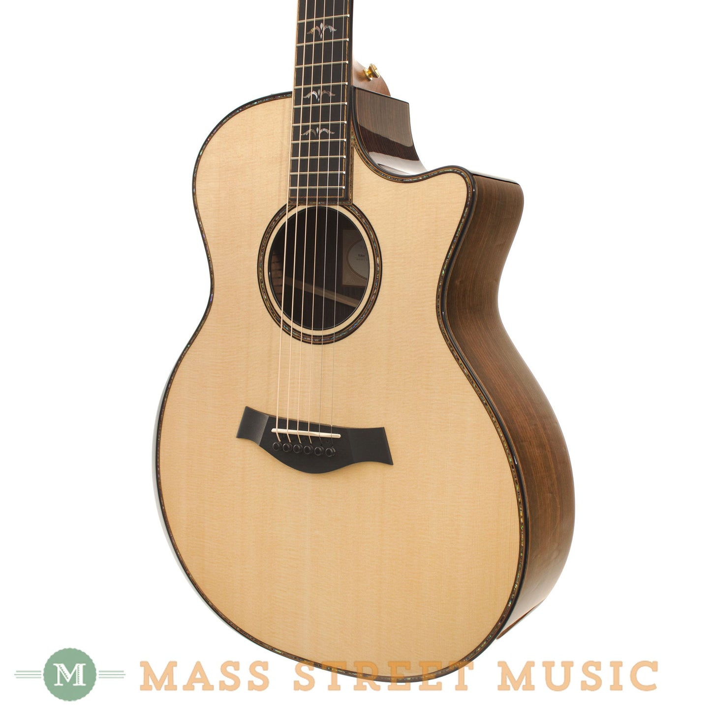 Taylor Acoustic Guitars - 914CE