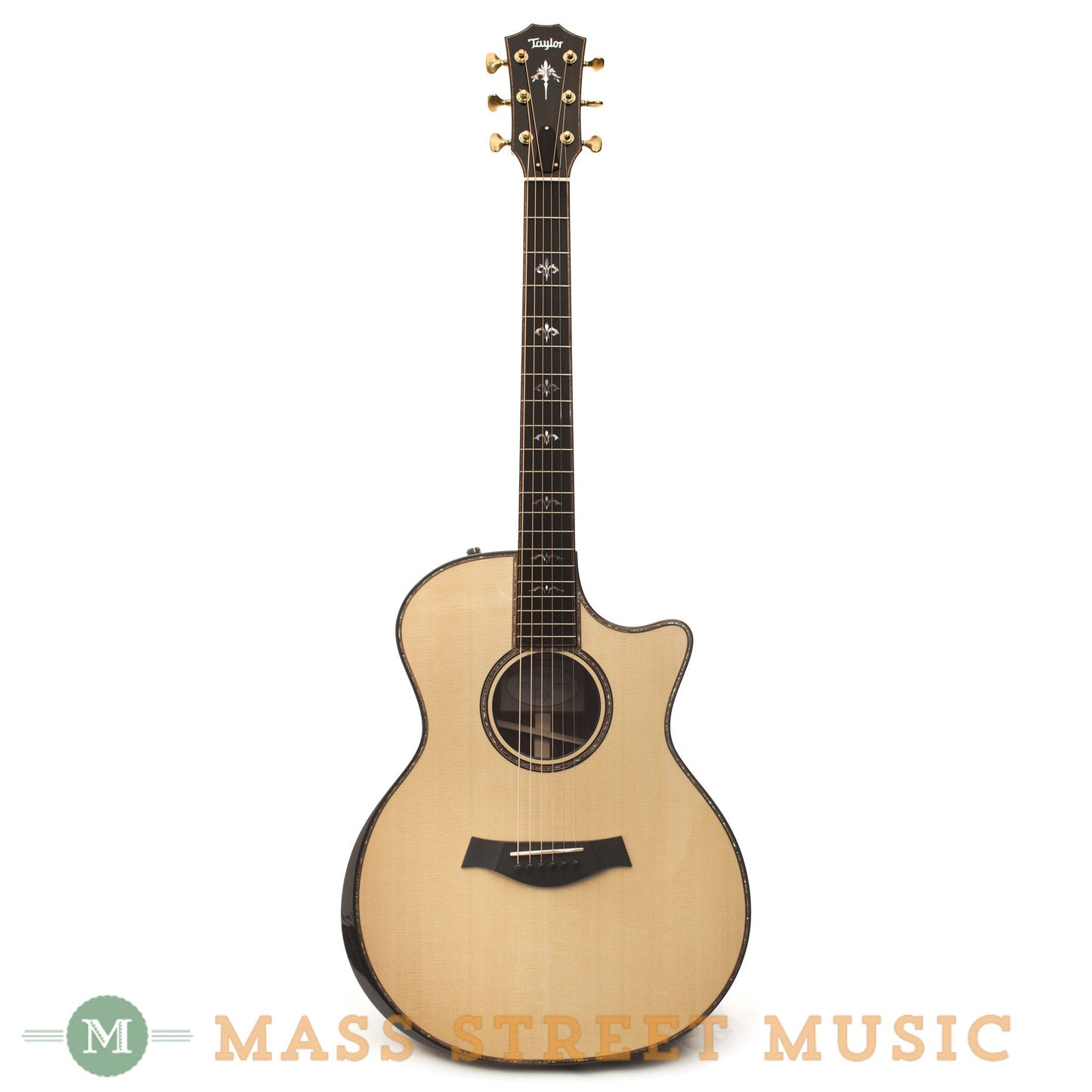 Taylor Acoustic Guitars - 914CE