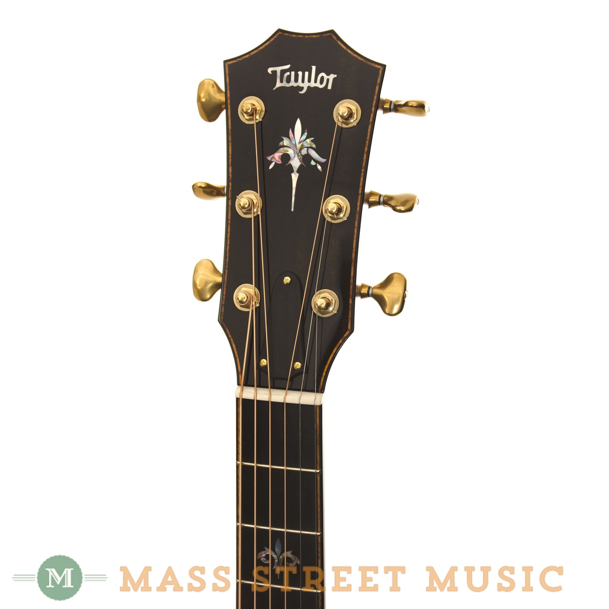 Taylor Acoustic Guitars - 914CE