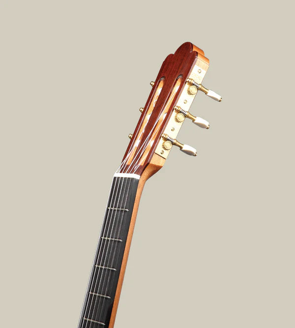 Altamira Hansen Workshop Torres 1888 Sitka / Rosewood