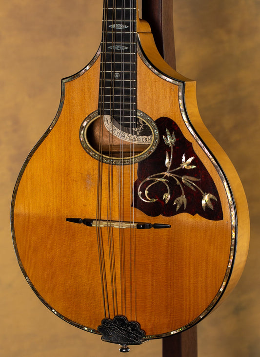 Vega Vintage Model 207, 1923 Cylinder Back Mandolin