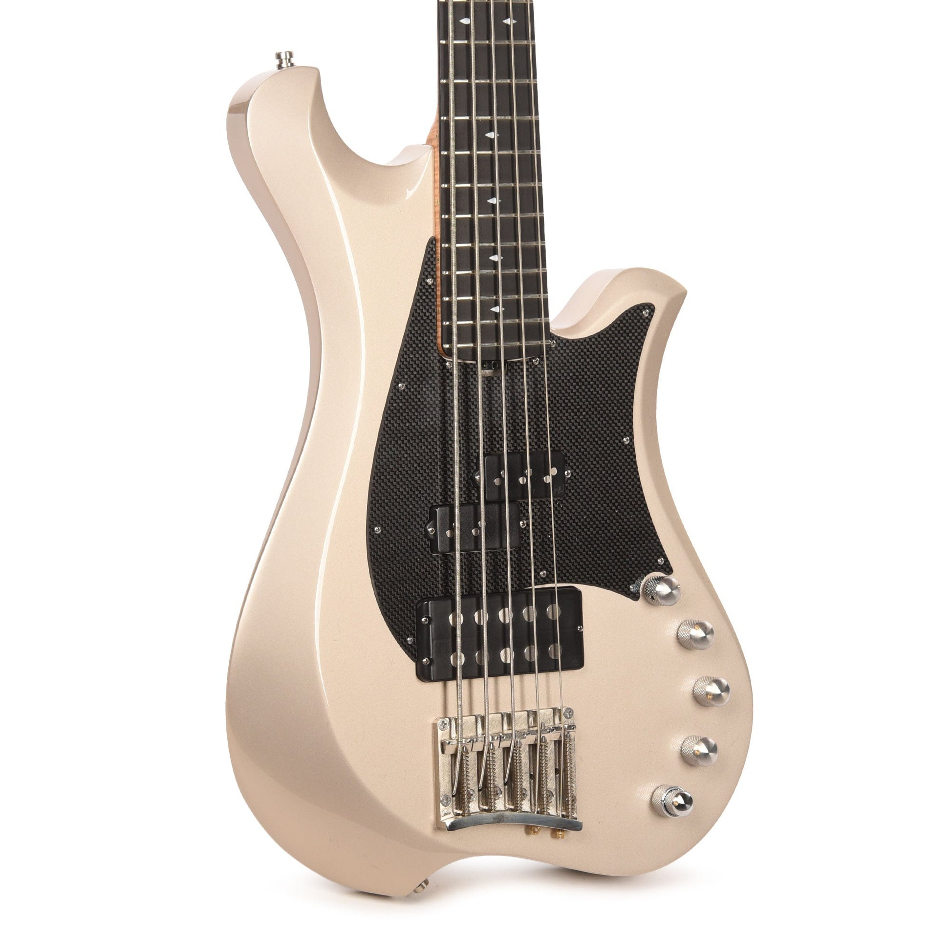 Bacci Palladium Marleo 5-String Bass Grey