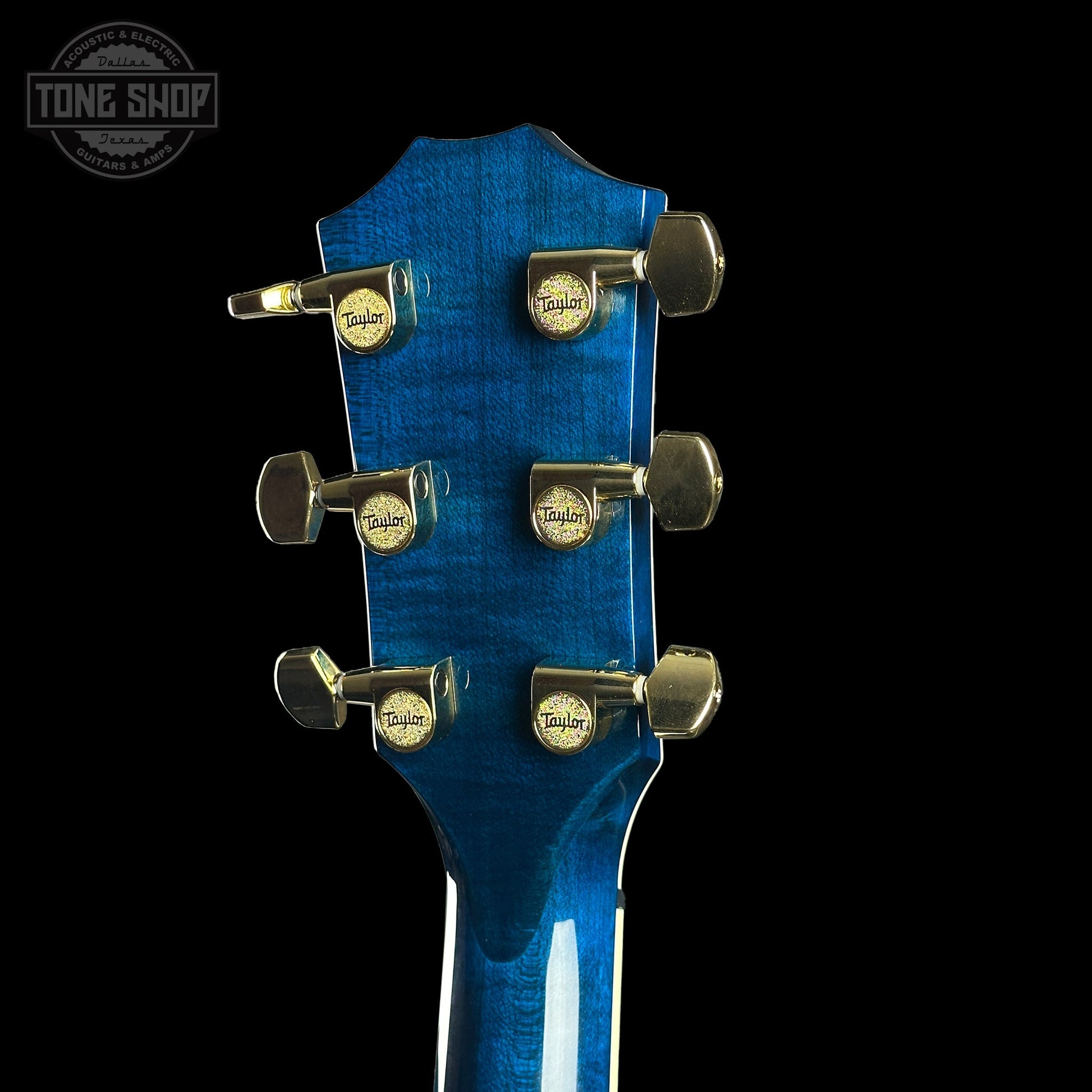 Taylor Custom Grand Pacific Aquamarine Koi Motif w/case w/matching Circa 74 amp