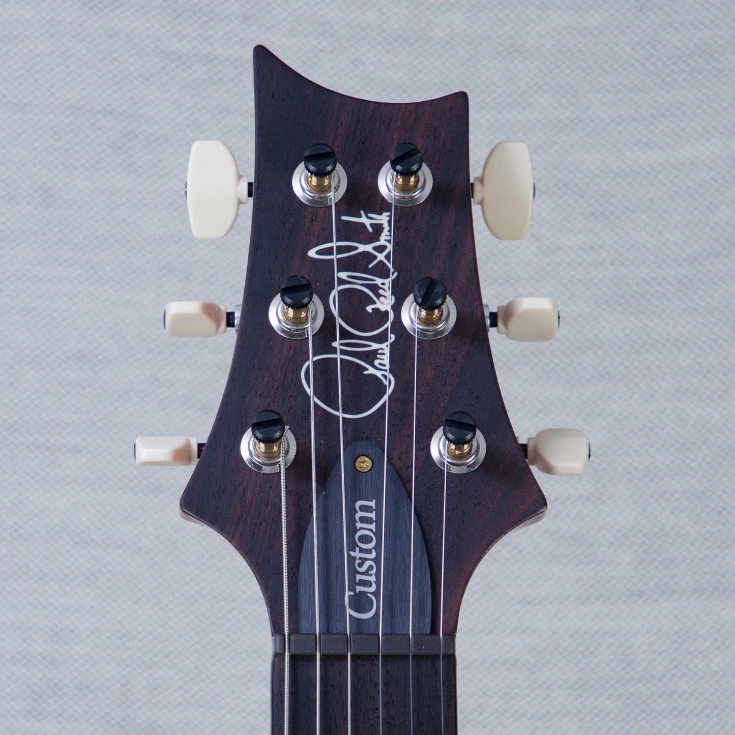 PRS Custom 24 10-Top Solid Body Electric Guitar - Aurora Borealis - #0410275