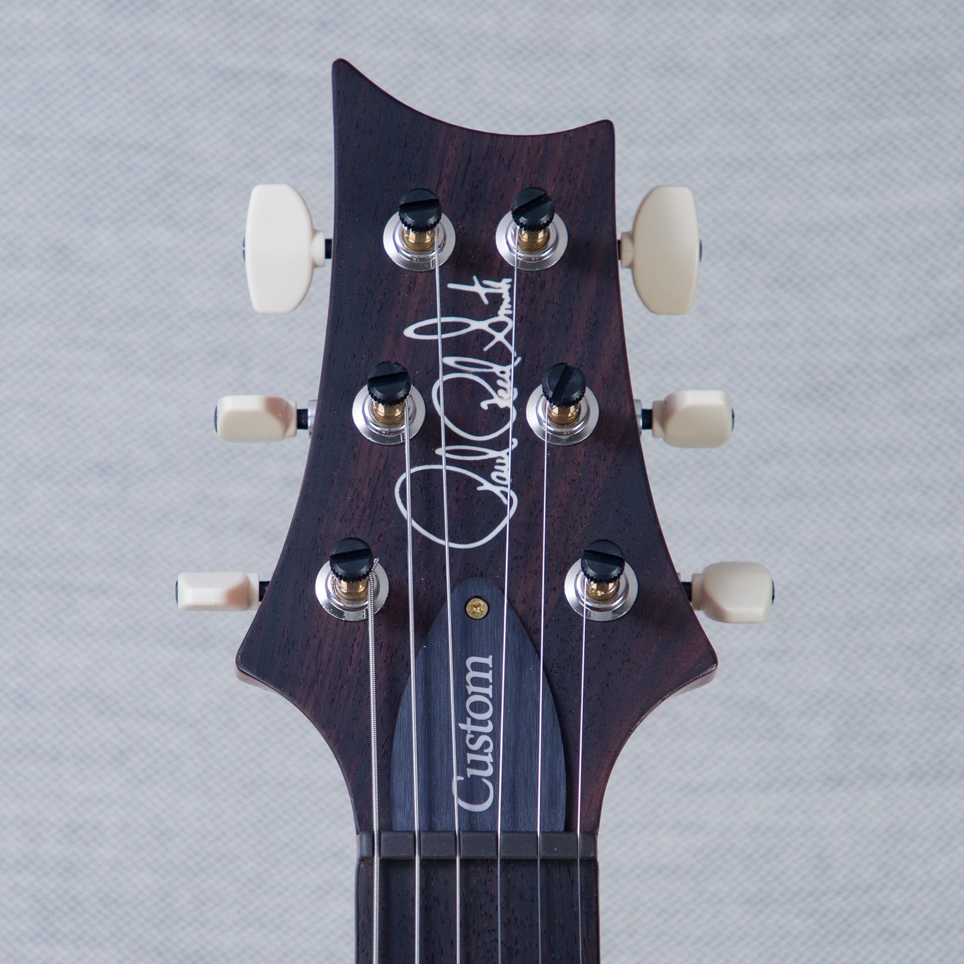 PRS Custom 24 10-Top Solid Body Electric Guitar - Aurora Borealis - #0410275