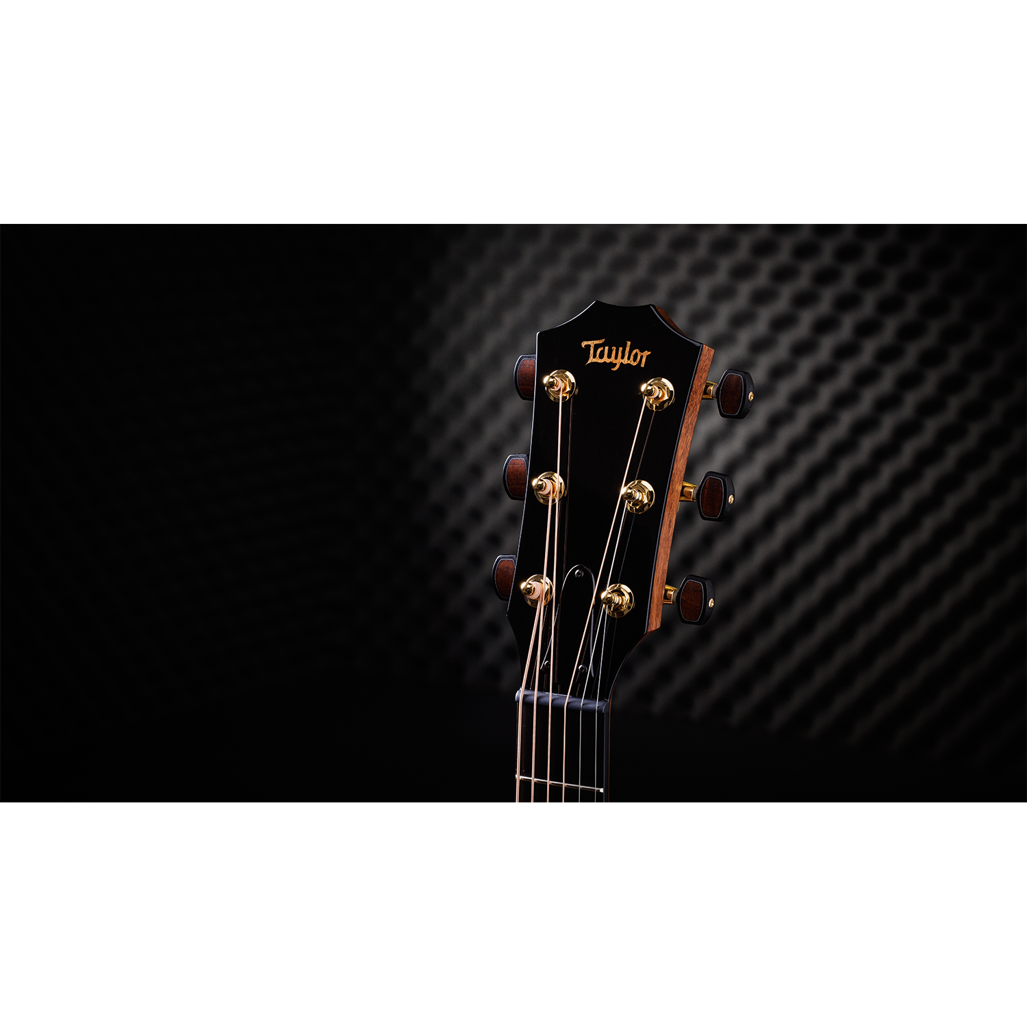 Taylor Custom #30 C16CE Grand Symphony Acoustic Electric Guitar