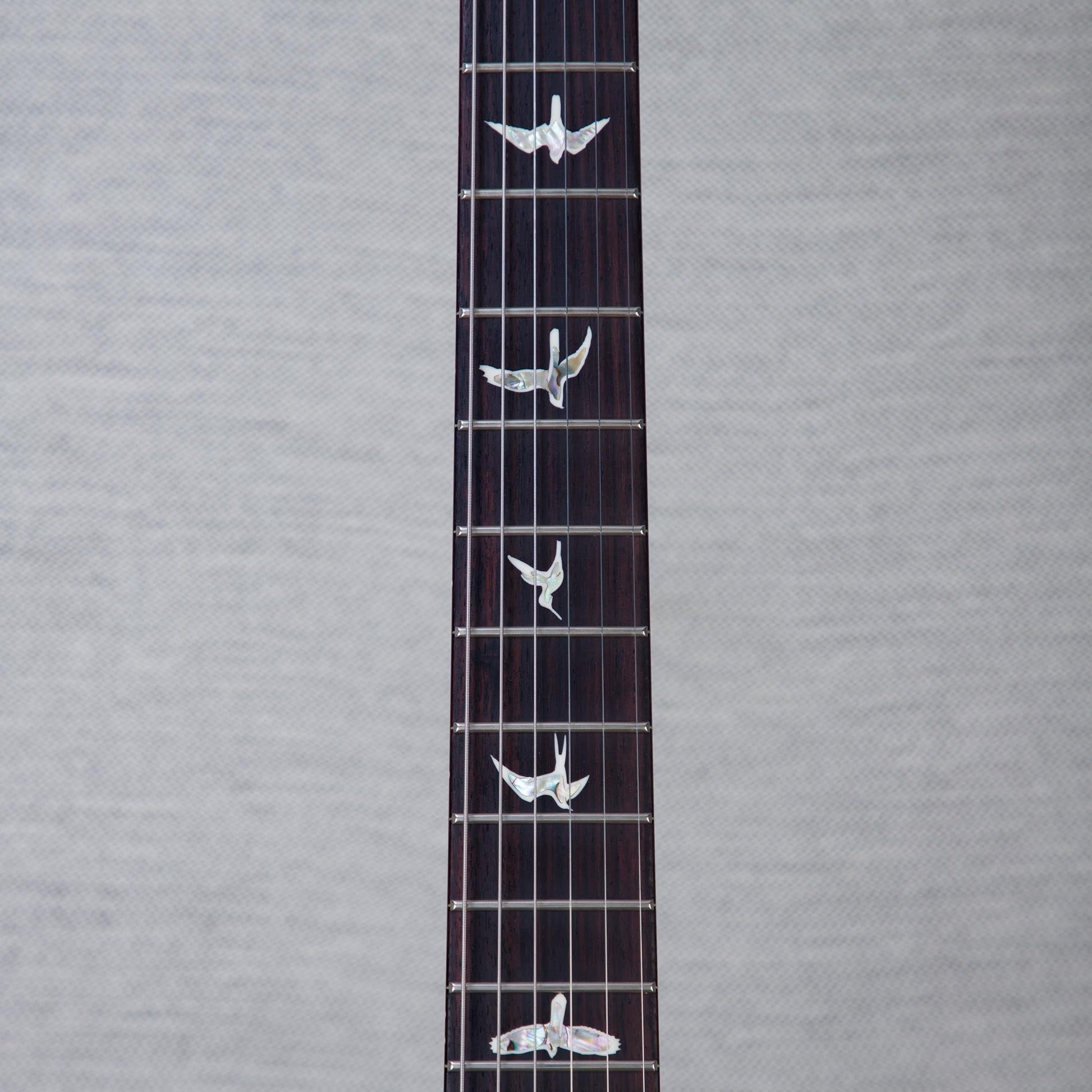 PRS Custom 24-08 10-Top Solid Body Guitar - Aurora Borealis - #250410253