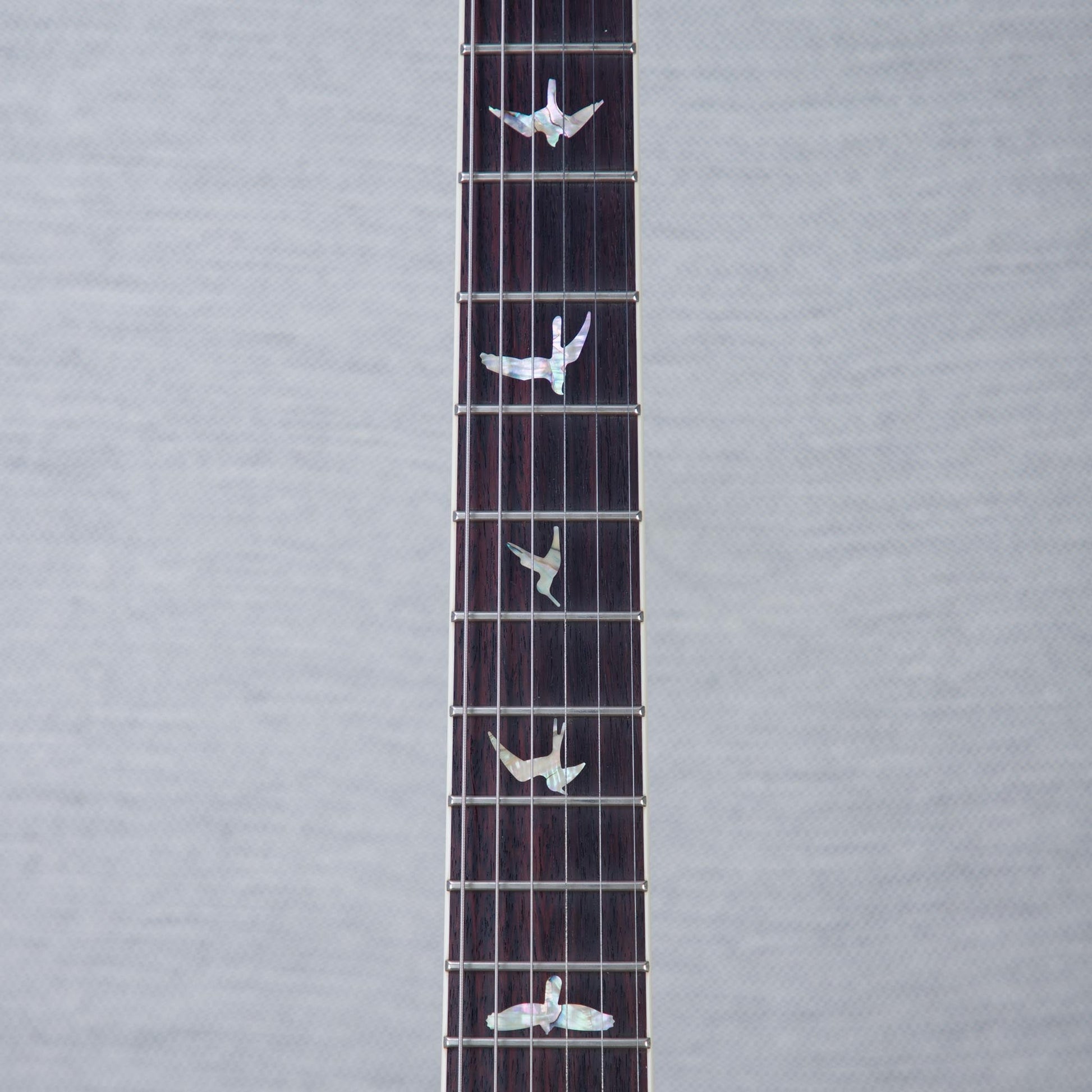 PRS McCarty 10-Top Electric Guitar - Aurora Borealis - #250404414