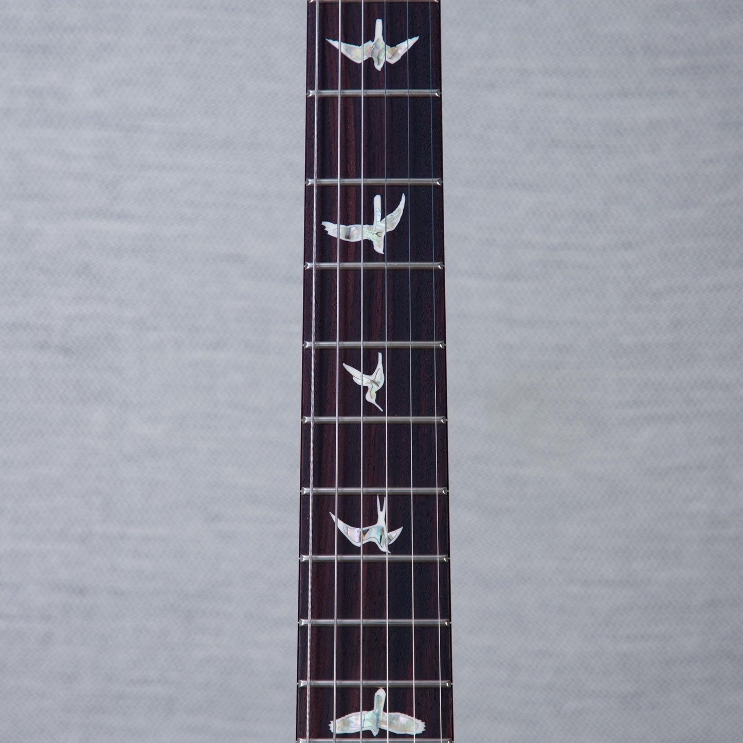 PRS Custom 24 10-Top Solid Body Electric Guitar - Aurora Borealis - #0410980