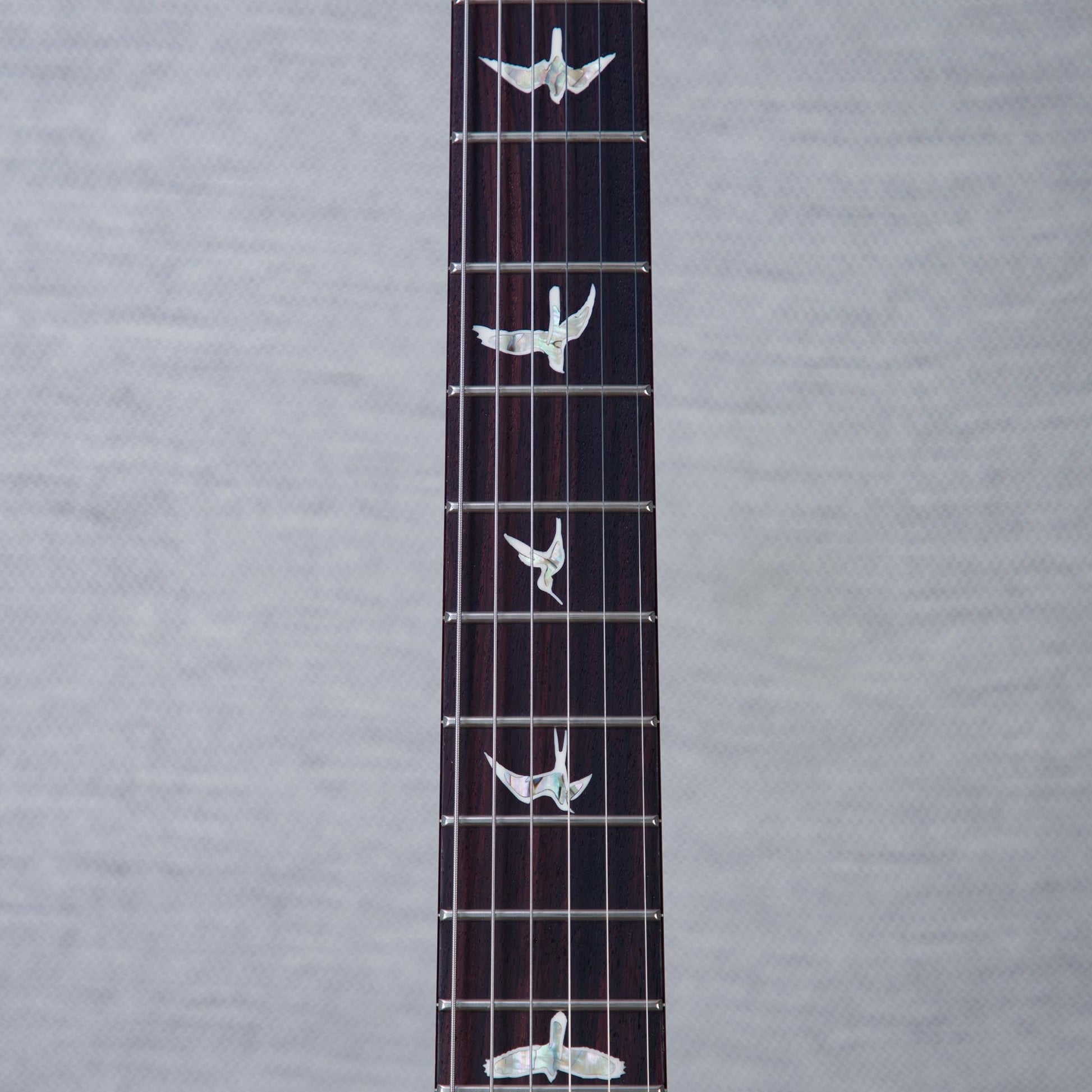 PRS Custom 24 10-Top Solid Body Electric Guitar - Aurora Borealis - #0410980
