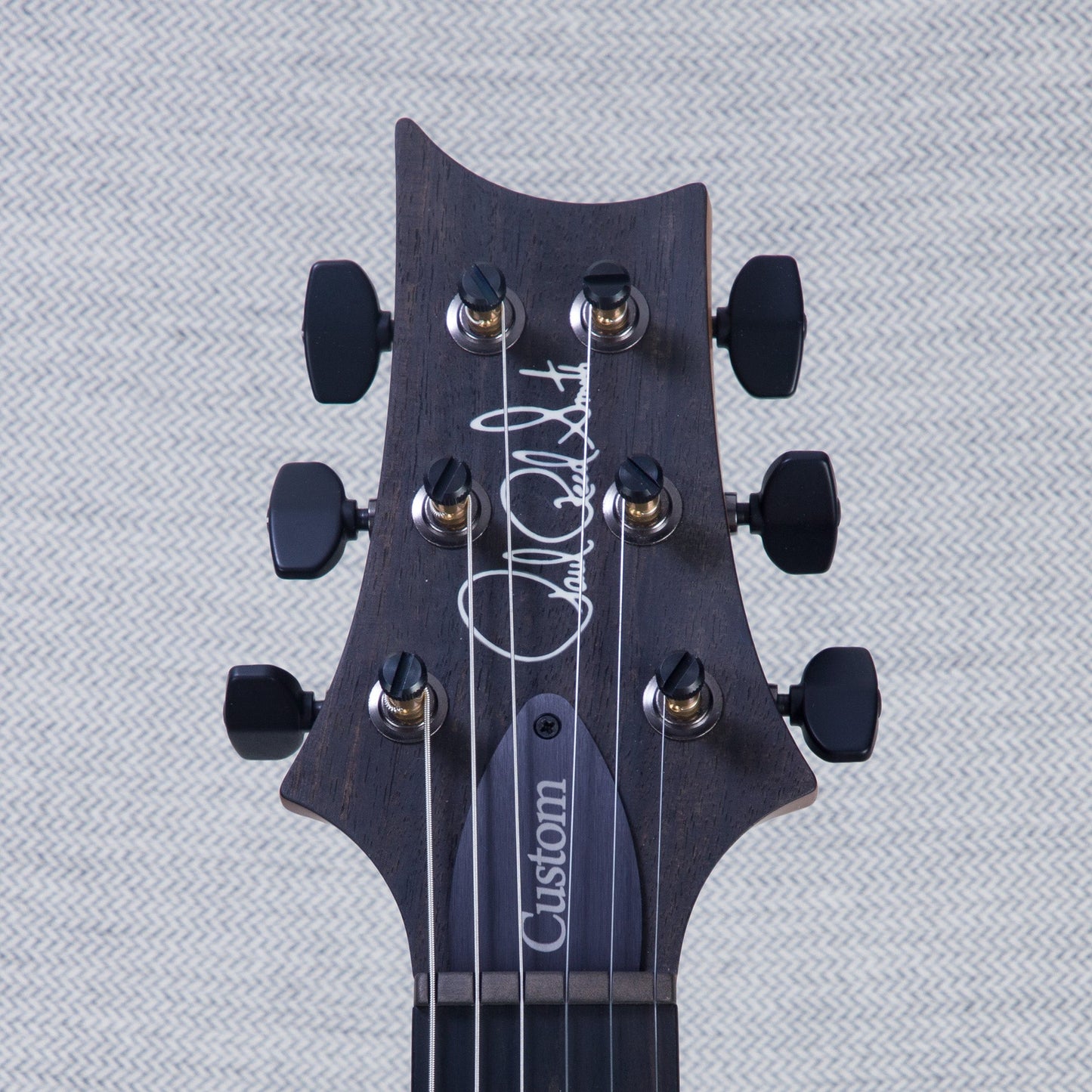 PRS Wood Library Custom 24 Electric Guitar - Private Stock Frostbite Finish - CHUCKSCLUSIVE - #240383976