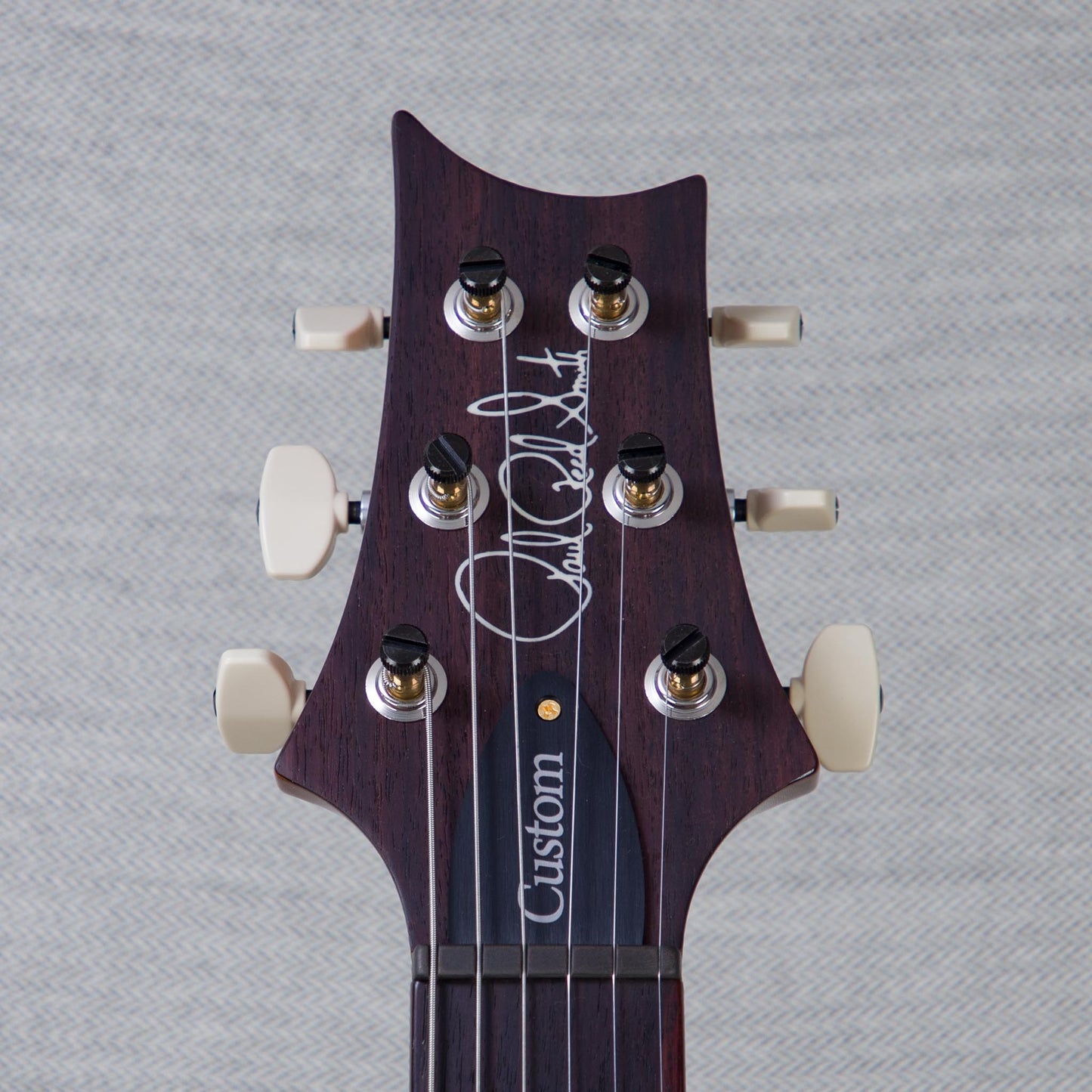 PRS Custom 24 Piezo 10-Top Solid Body Guitar - Aurora Borealis - #250403191