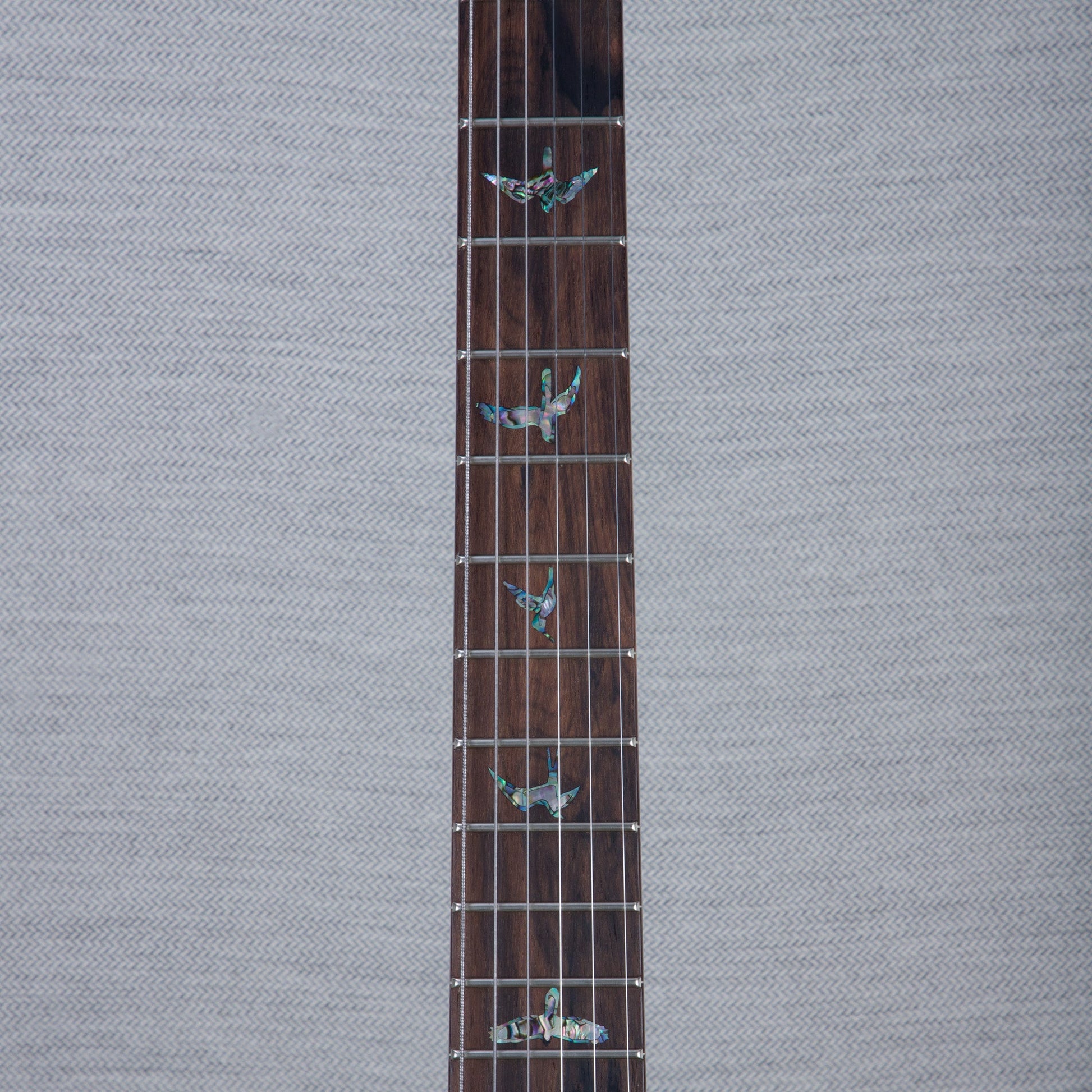 PRS Wood Library DGT Electric Guitar - Private Stock Bahamian Blue Finish - CHUCKSCLUSIVE - #240385597 - 2024