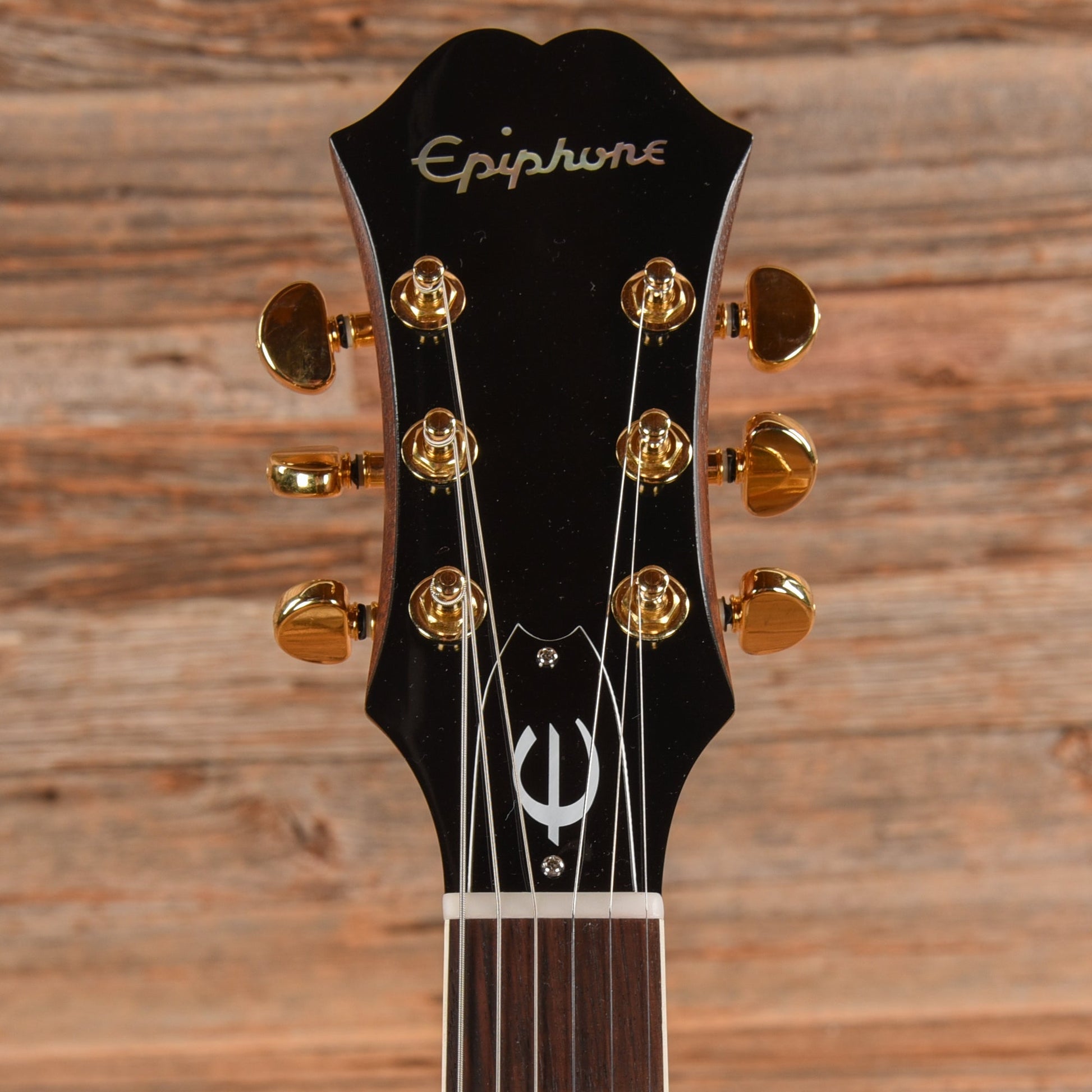 Epiphone Revolution Casino Natural - Dave Amato of REO Speedwagon