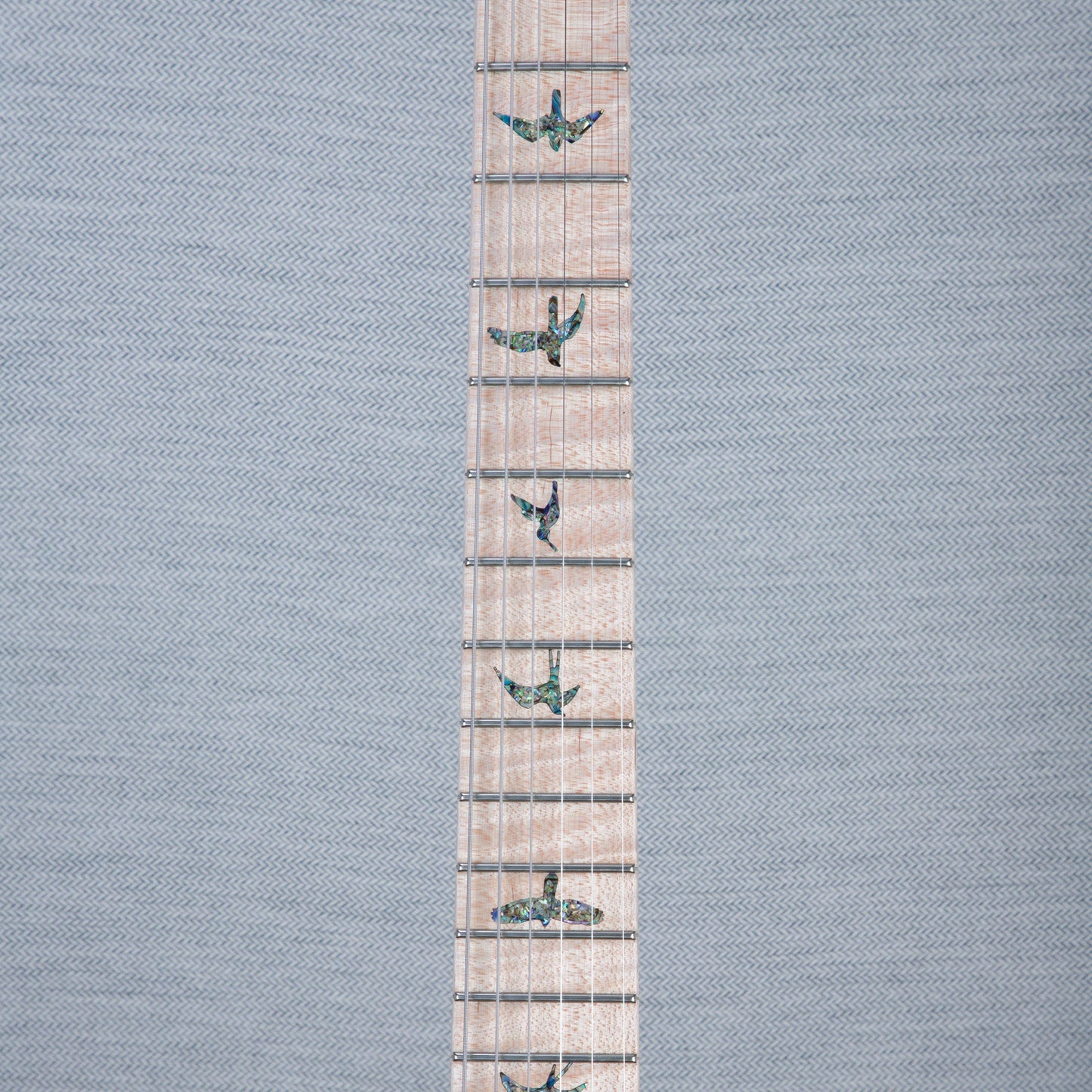 PRS Wood Library Custom 24 Electric Guitar - Private Stock Beach Fade Finish - CHUCKSCLUSIVE - #240383992 - 2024