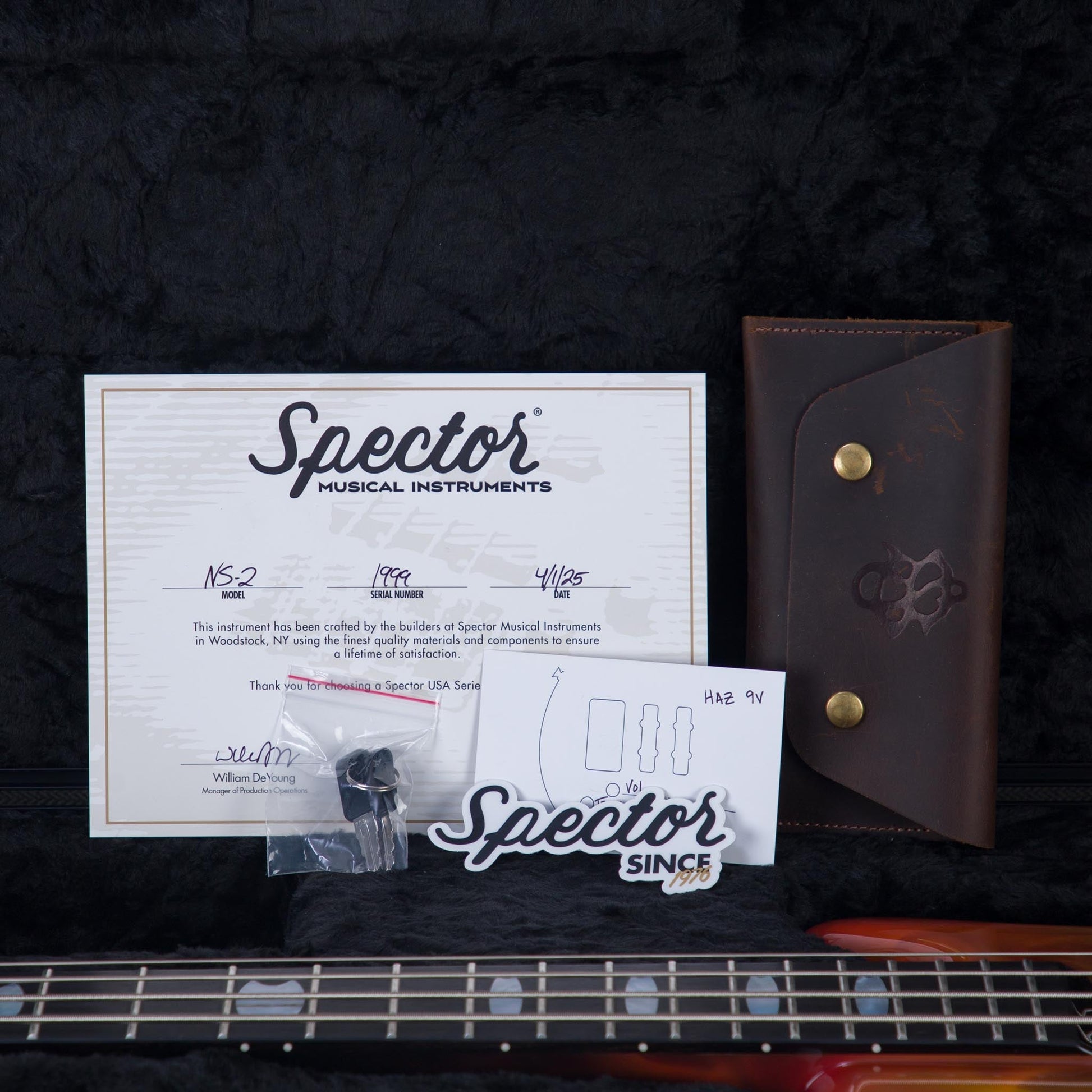 Spector USA Custom NS-2 Hot Rod Series Painted by Dan Lawrence Electric Bass Guitar - "Real Flame" - CHUCKSCLUSIVE - #1999
