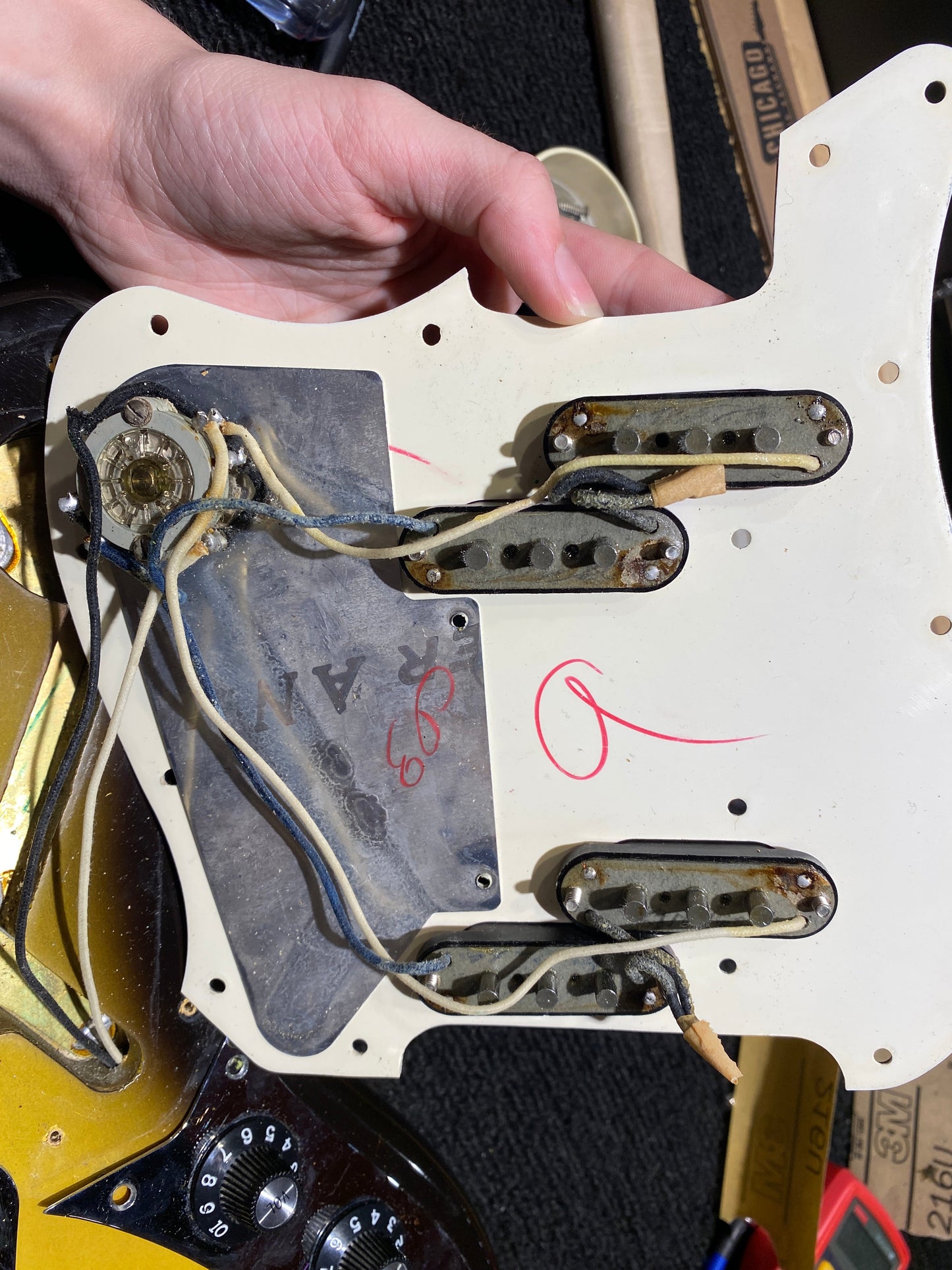 Fender Electric XII Sunburst 1966