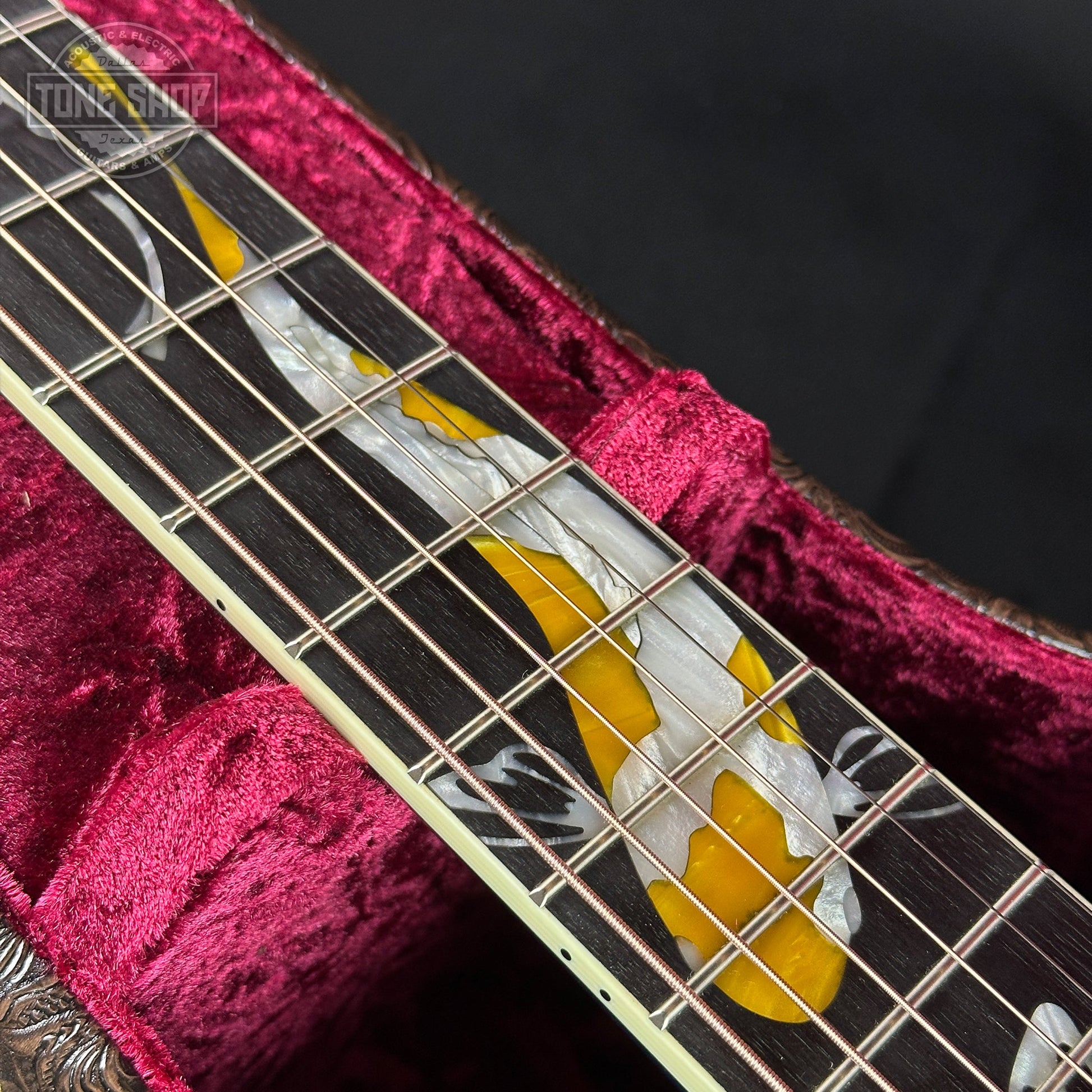Taylor Custom Grand Pacific Aquamarine Koi Motif w/case w/matching Circa 74 amp