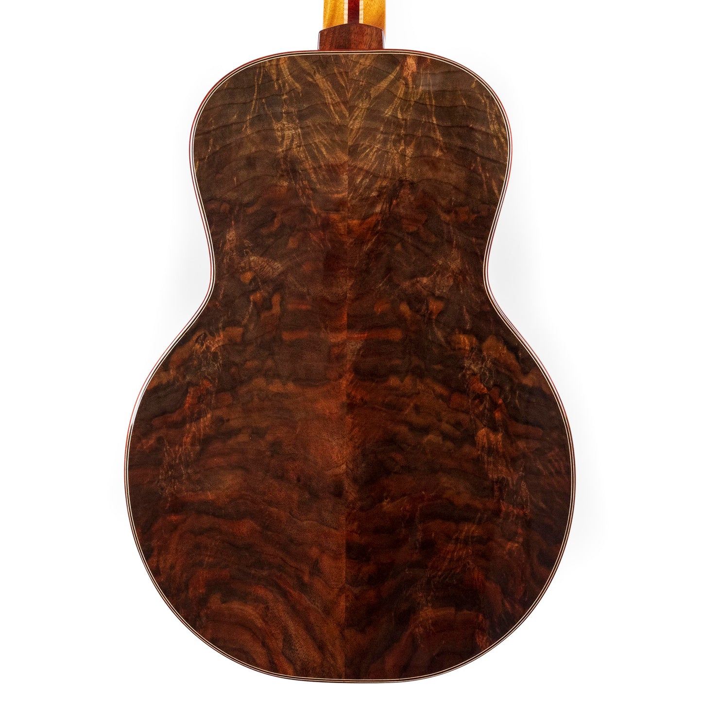 Irvin SP 14-fret, Highly Figured Claro Walnut, Western Red Cedar Top