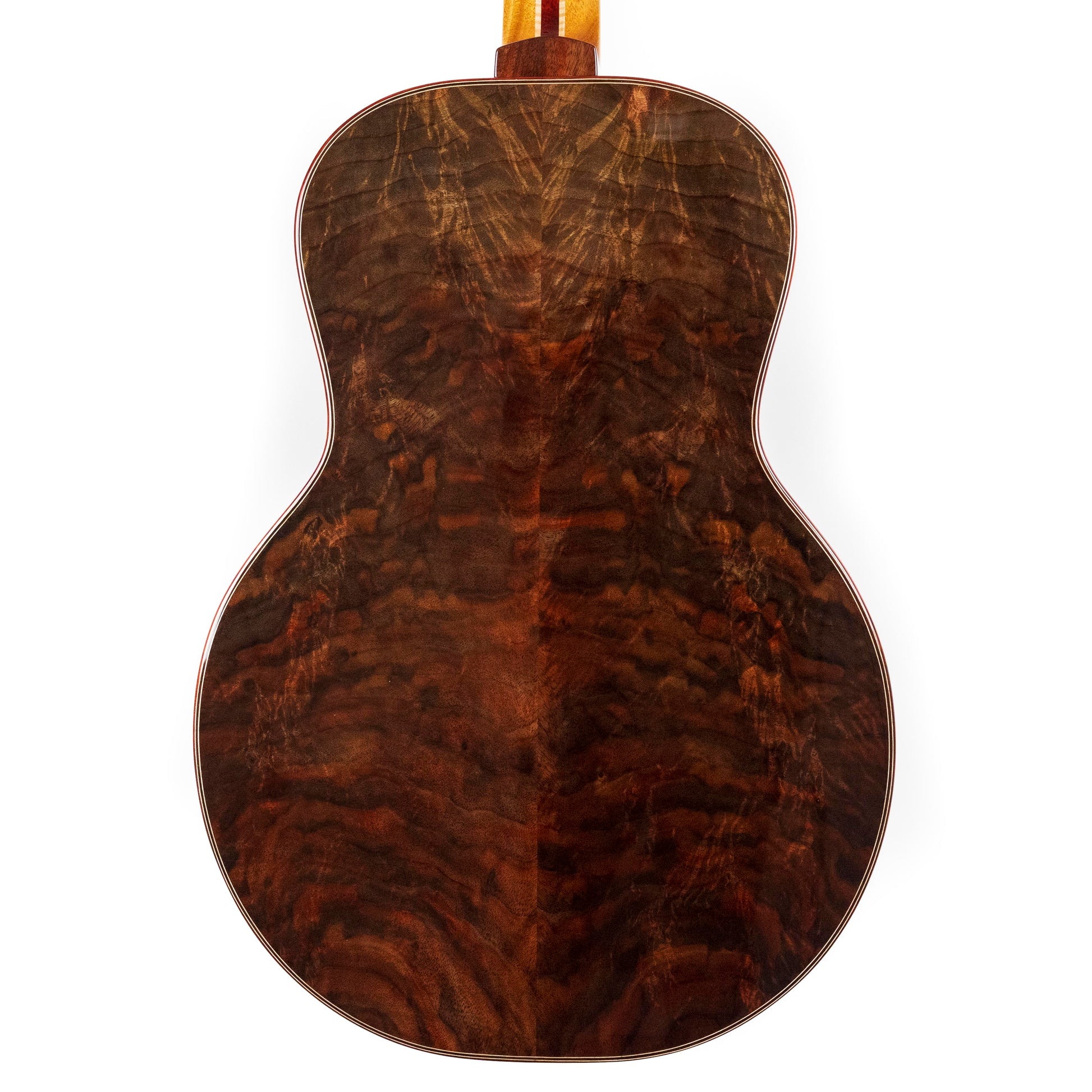 Irvin SP 14-fret, Highly Figured Claro Walnut, Western Red Cedar Top