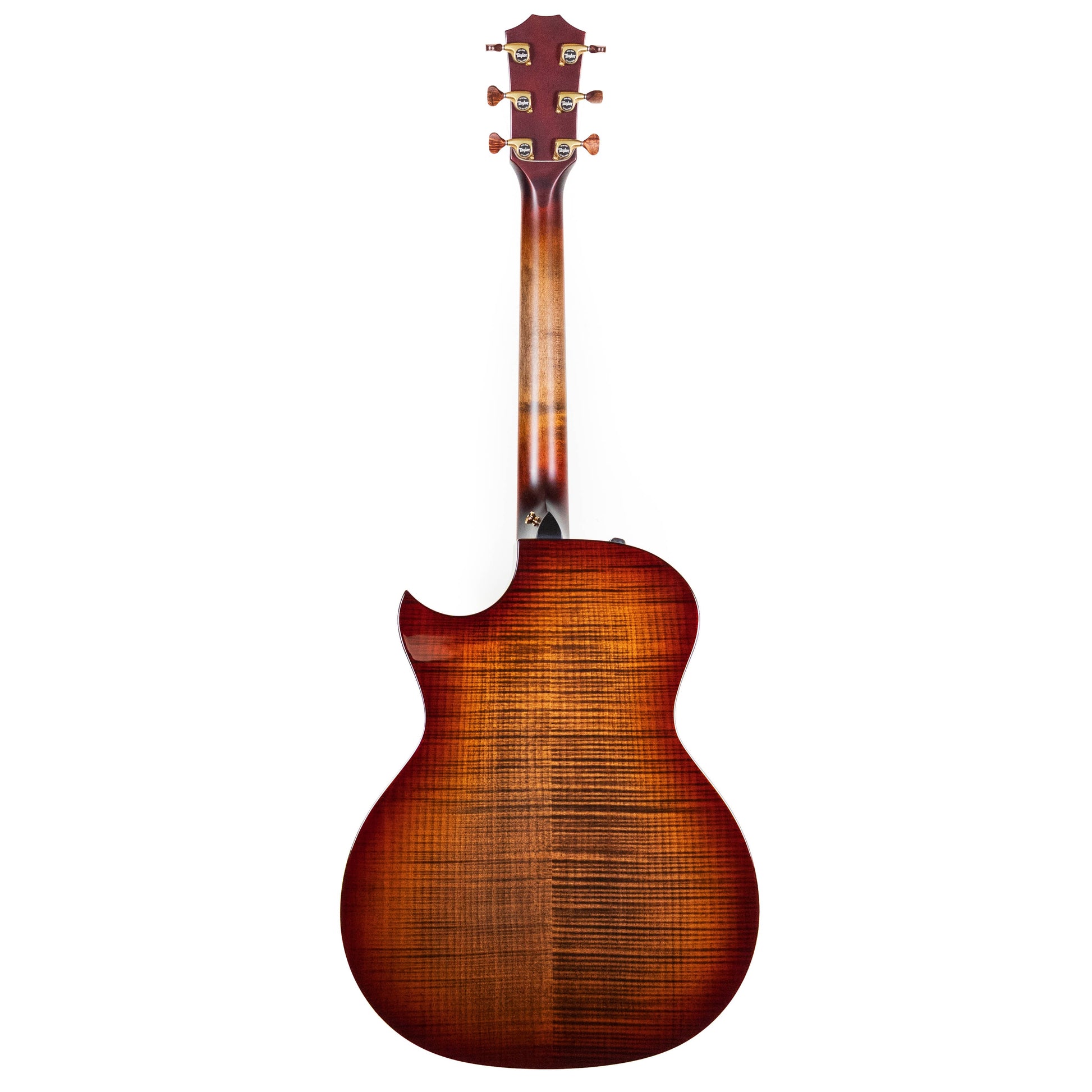Taylor Custom Shop "Catch" Custom GA C14ce, Maple/Sitka