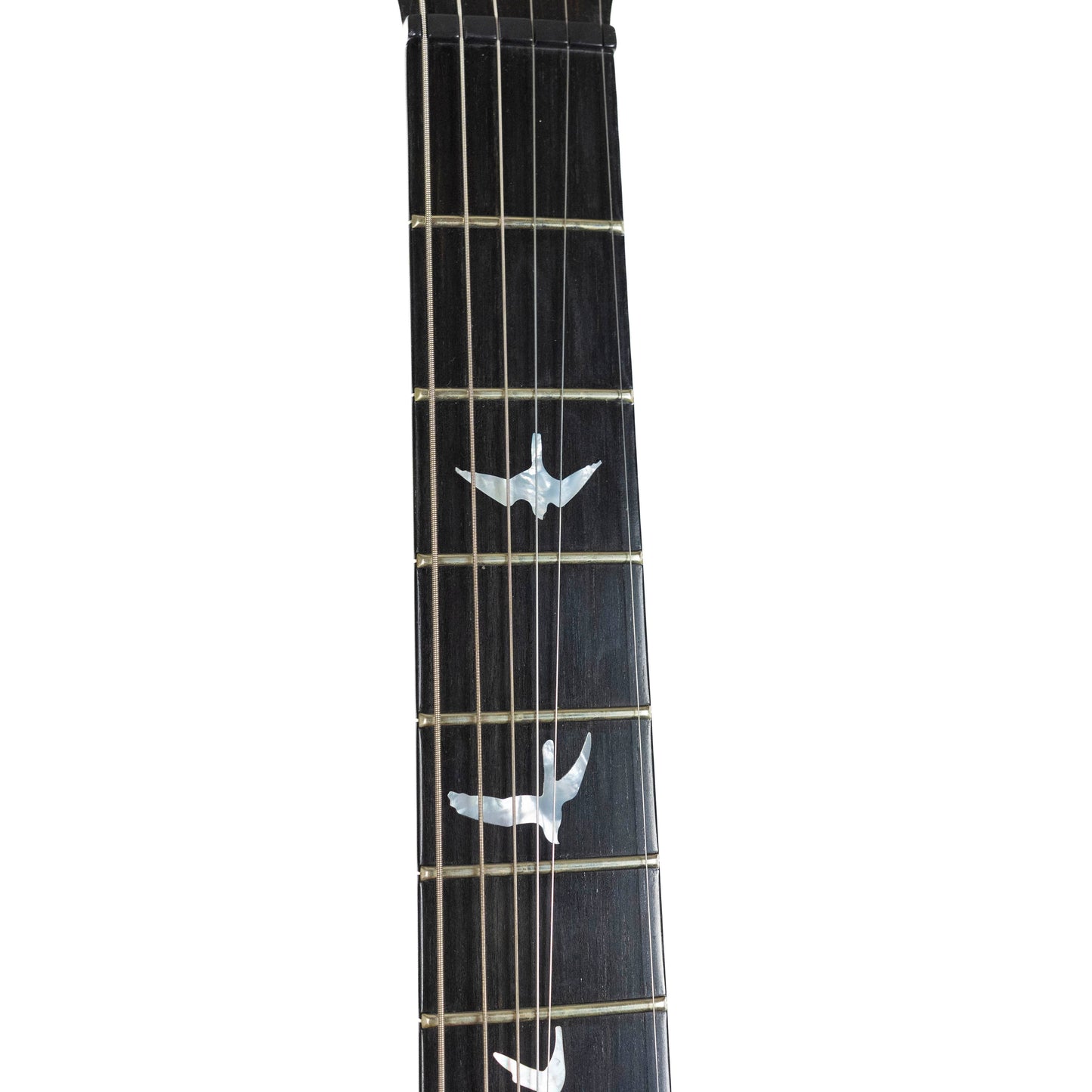 PRS 2010 Private Stock #2811, Ice Mist