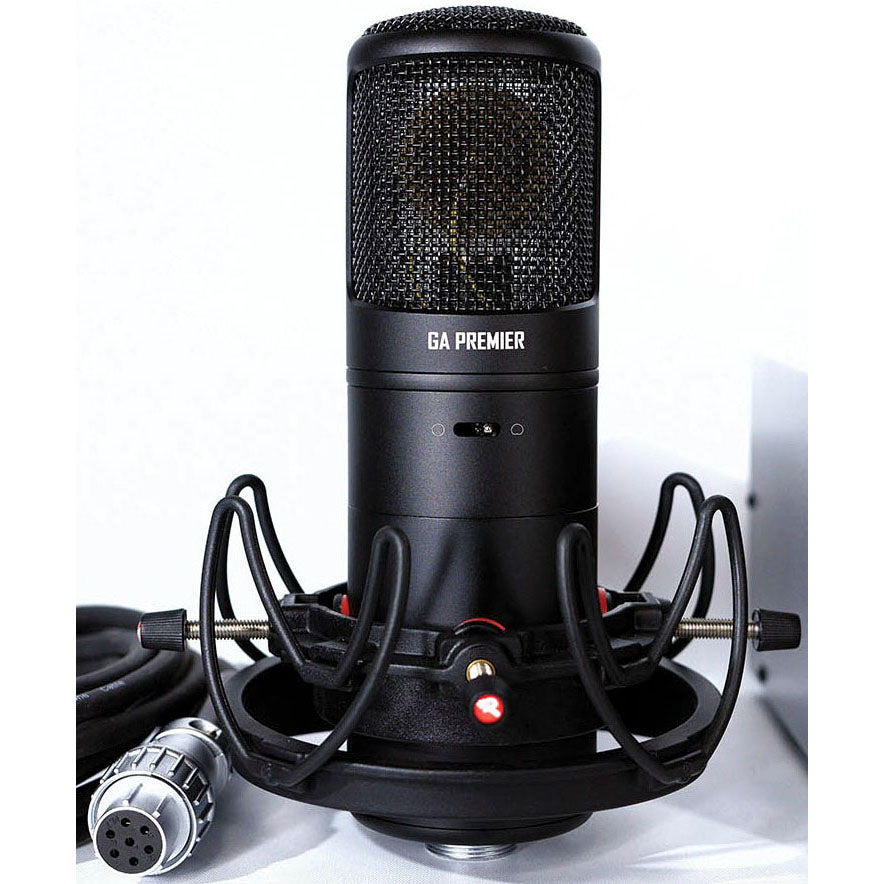Golden Age Premier GA-8000 Microphone