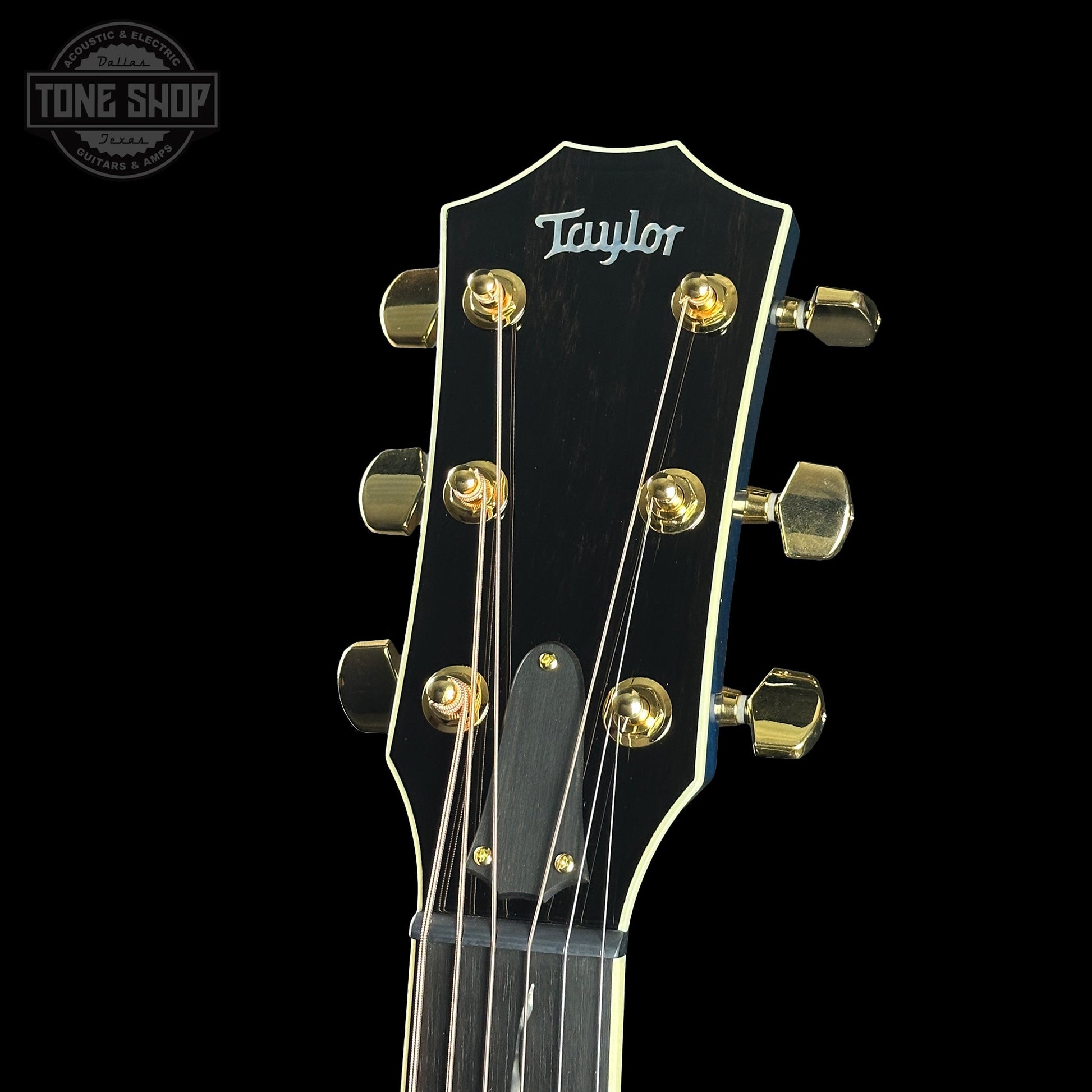 Taylor Custom Grand Pacific Aquamarine Koi Motif w/case w/matching Circa 74 amp