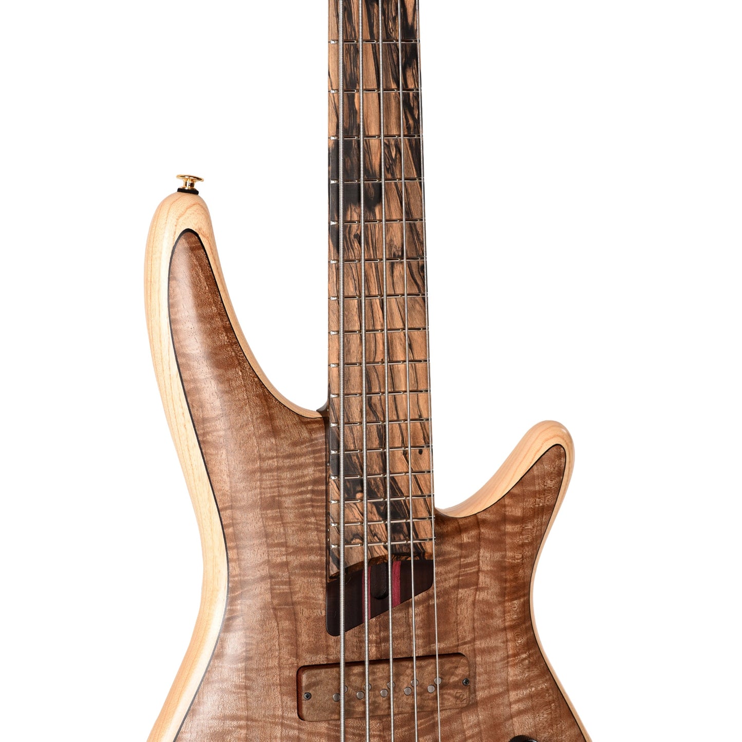 Ibanez IV1SR SR Visions 5-String Electric Bass