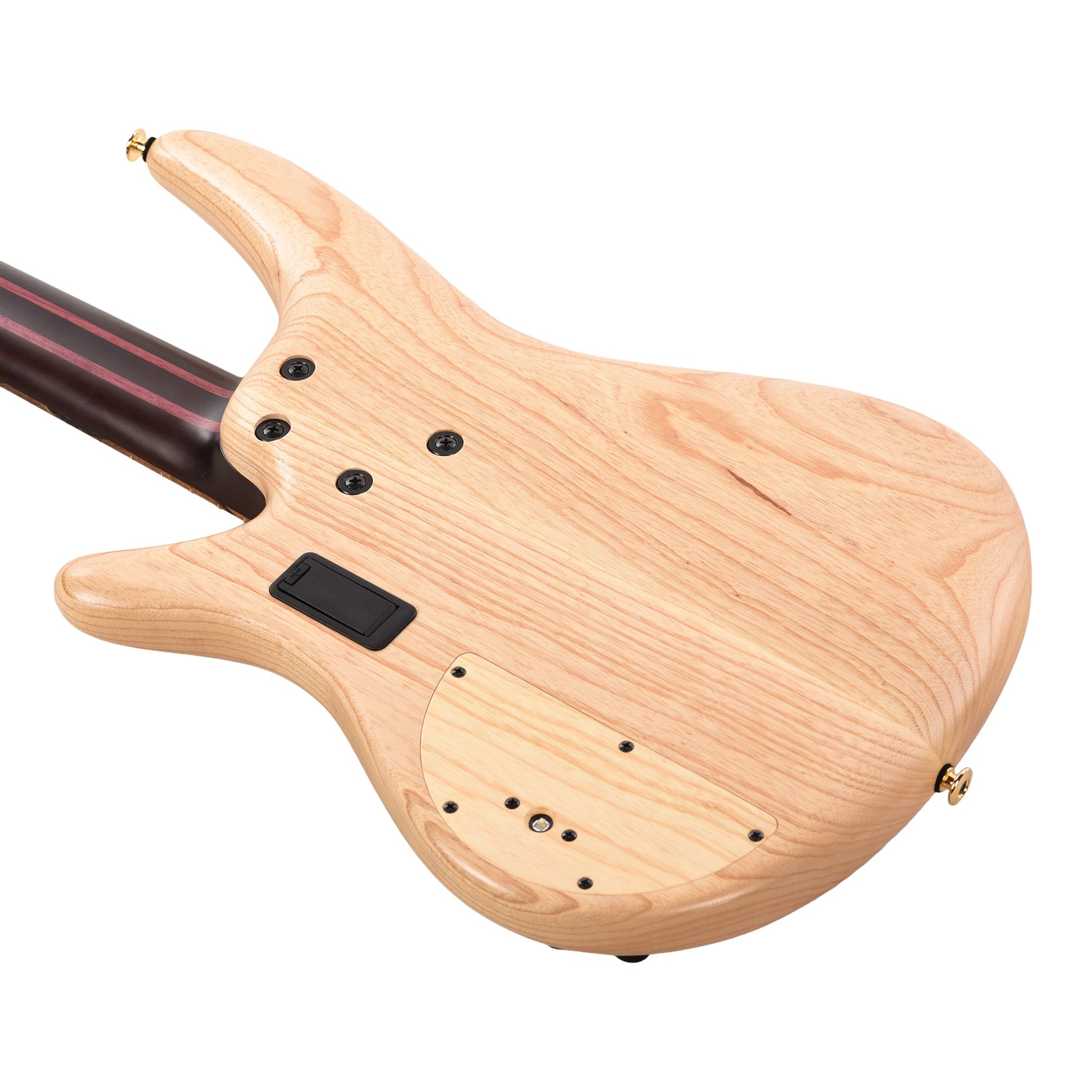 Ibanez IV1SR SR Visions 5-String Electric Bass