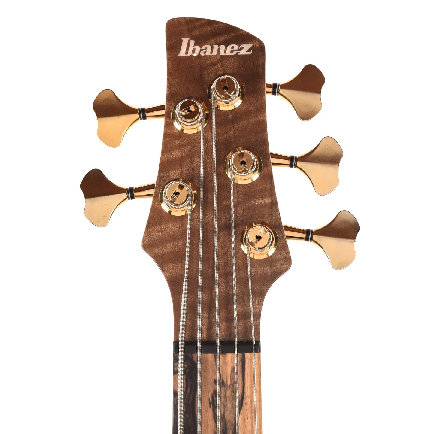 Ibanez IV1SR SR Visions 5-String Electric Bass