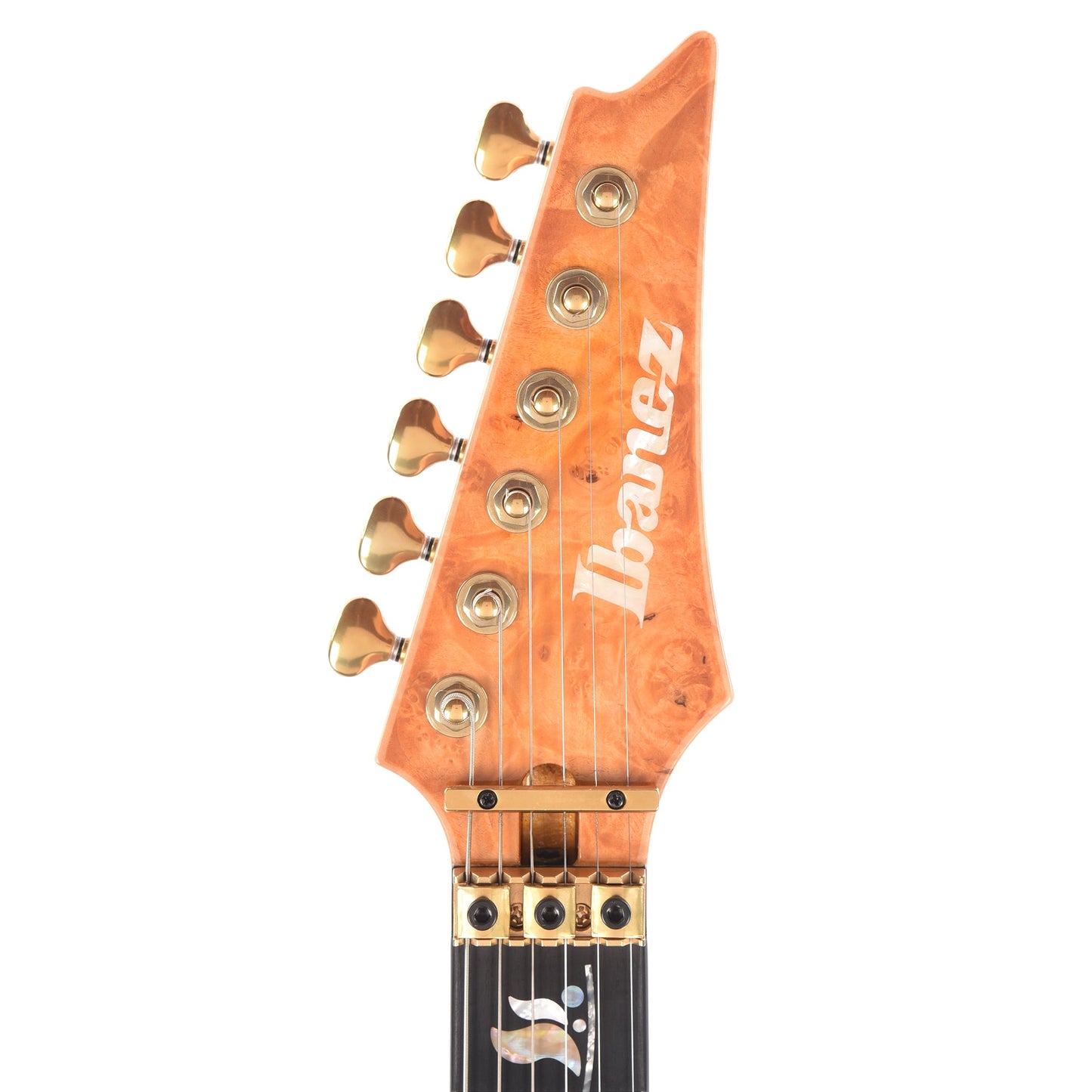 Ibanez IV1RG RG Visions Electric Guitar