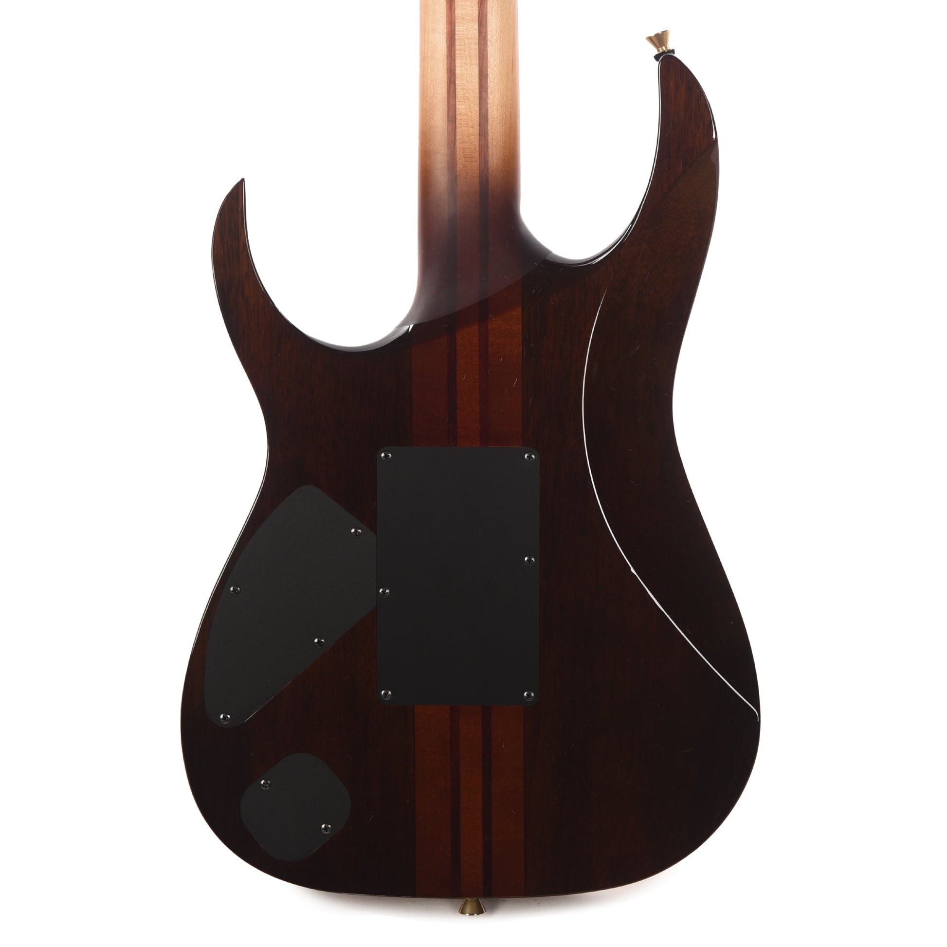Ibanez IV1RG RG Visions Electric Guitar