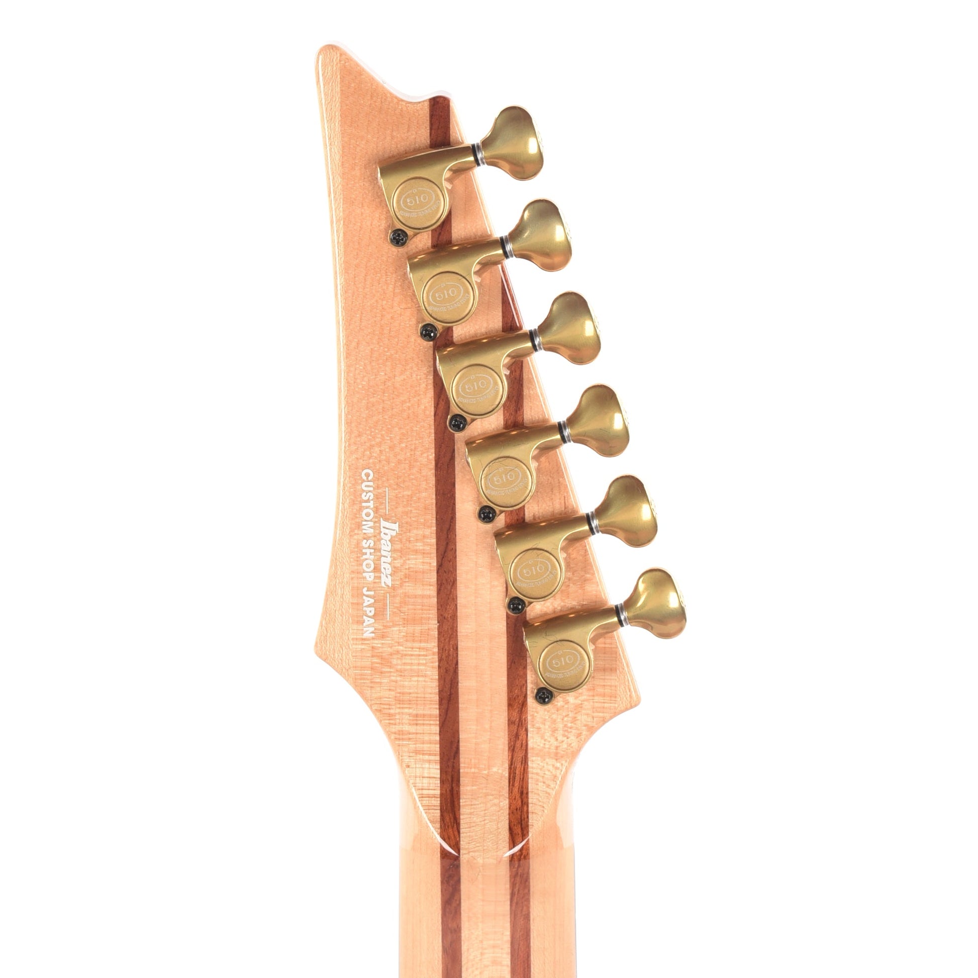 Ibanez IV1RG RG Visions Electric Guitar